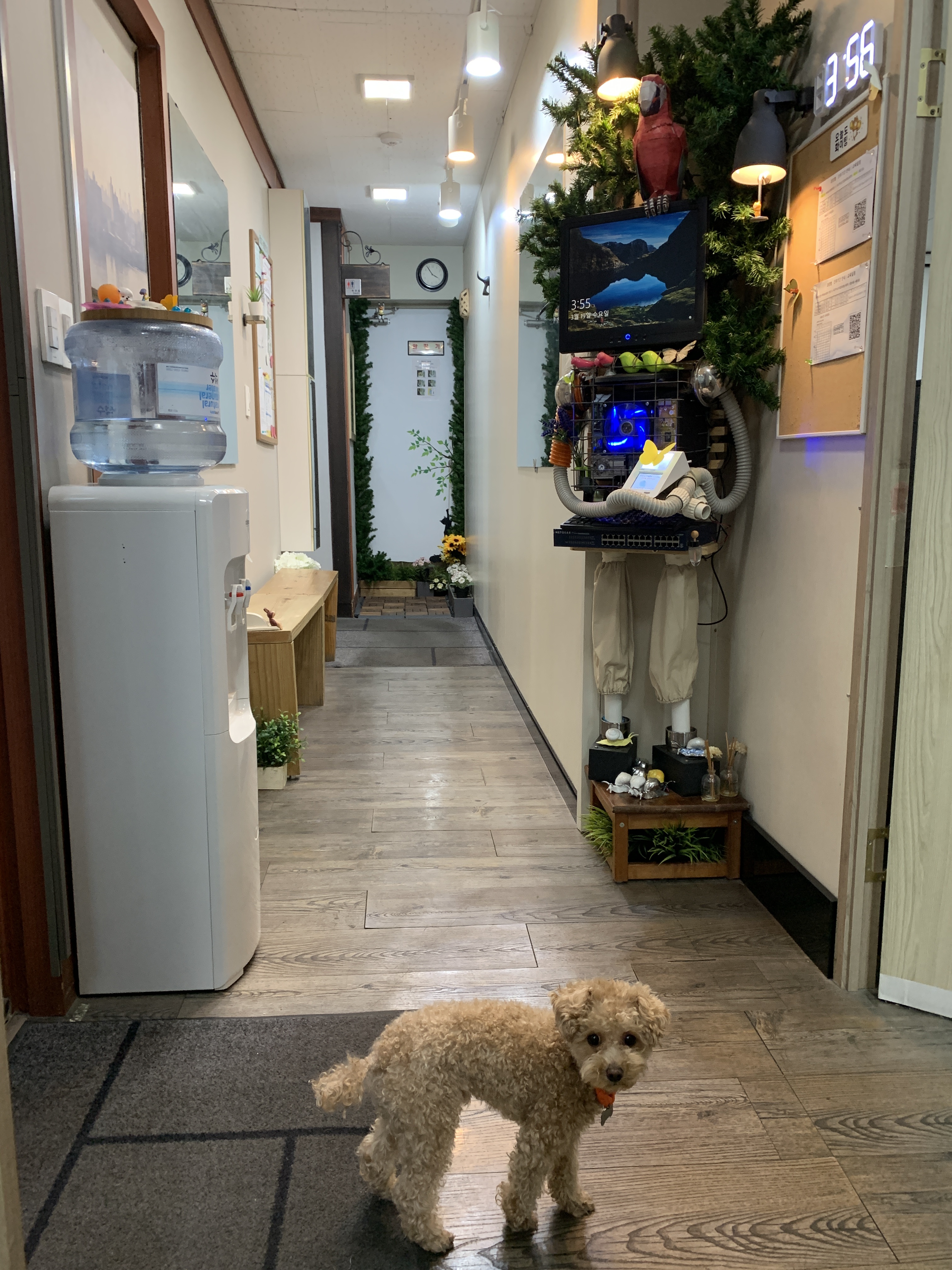 청시지아카데미학원