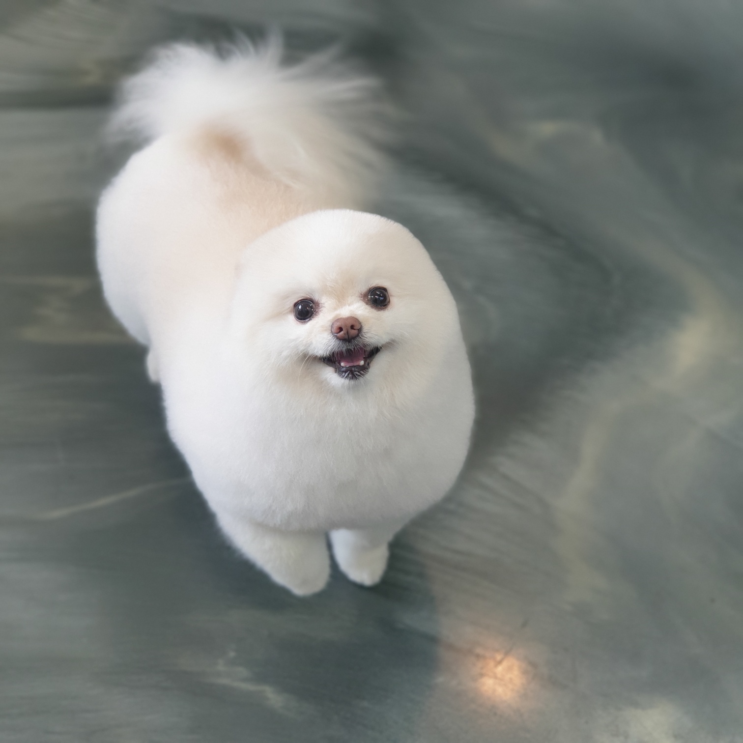 다함
