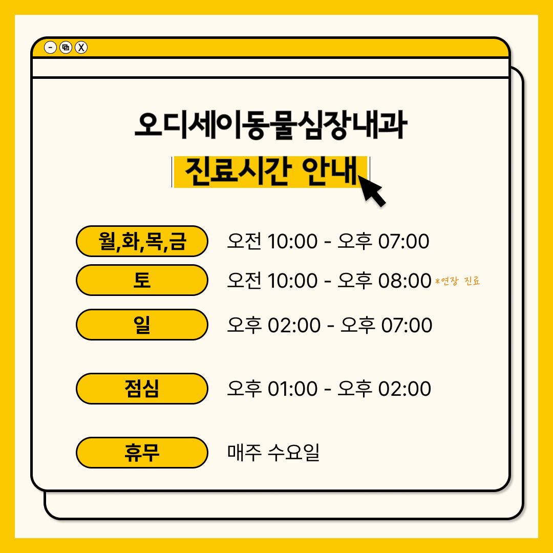 오디세이동물심장내과 대표 이미지