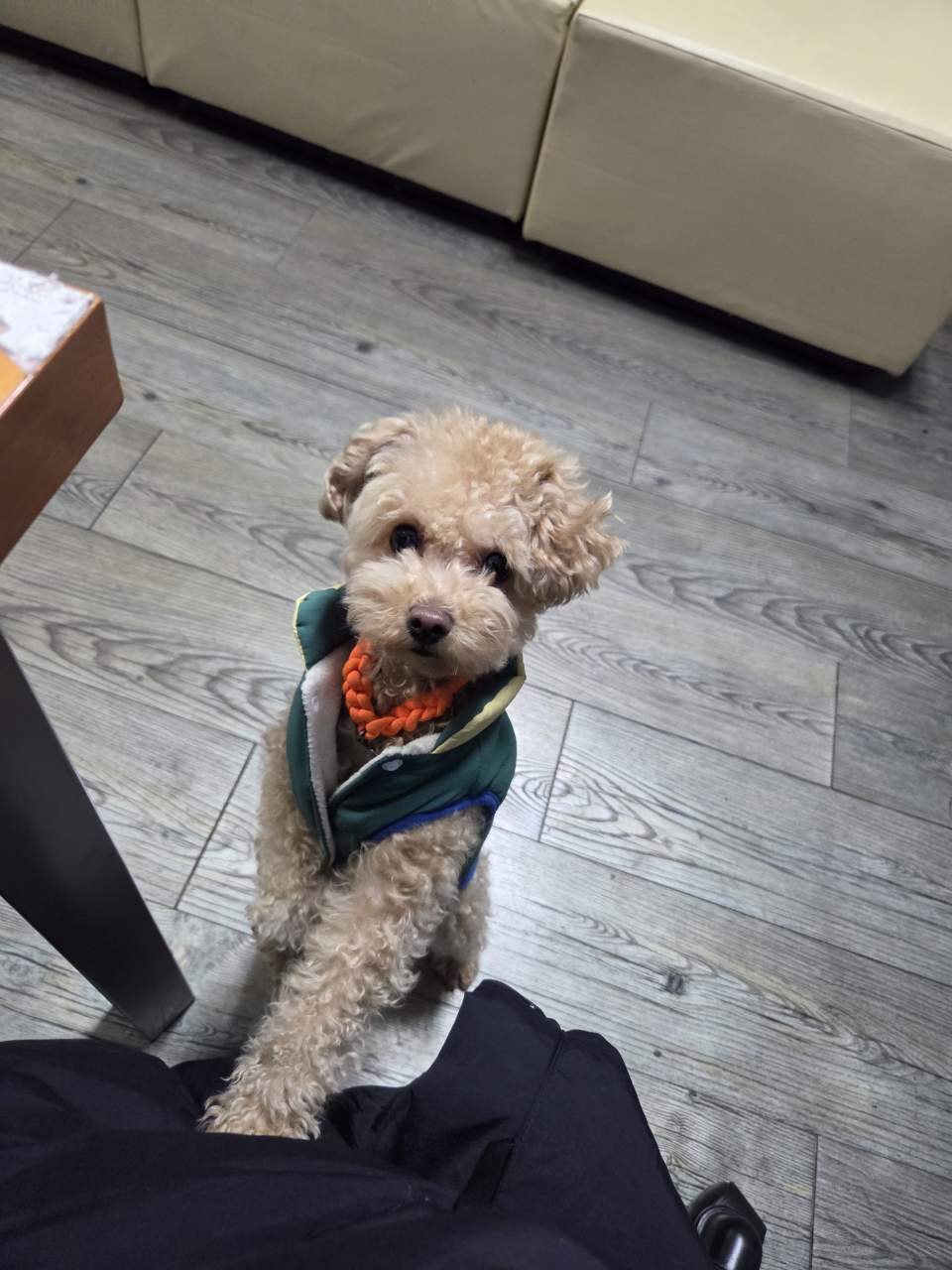 청시지아카데미학원