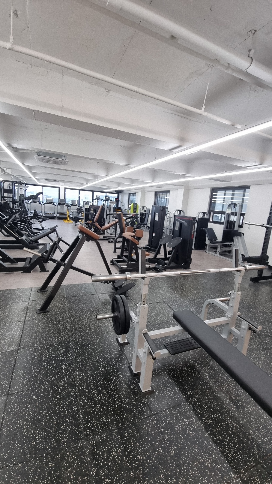 강진헬스코리아 대표 이미지