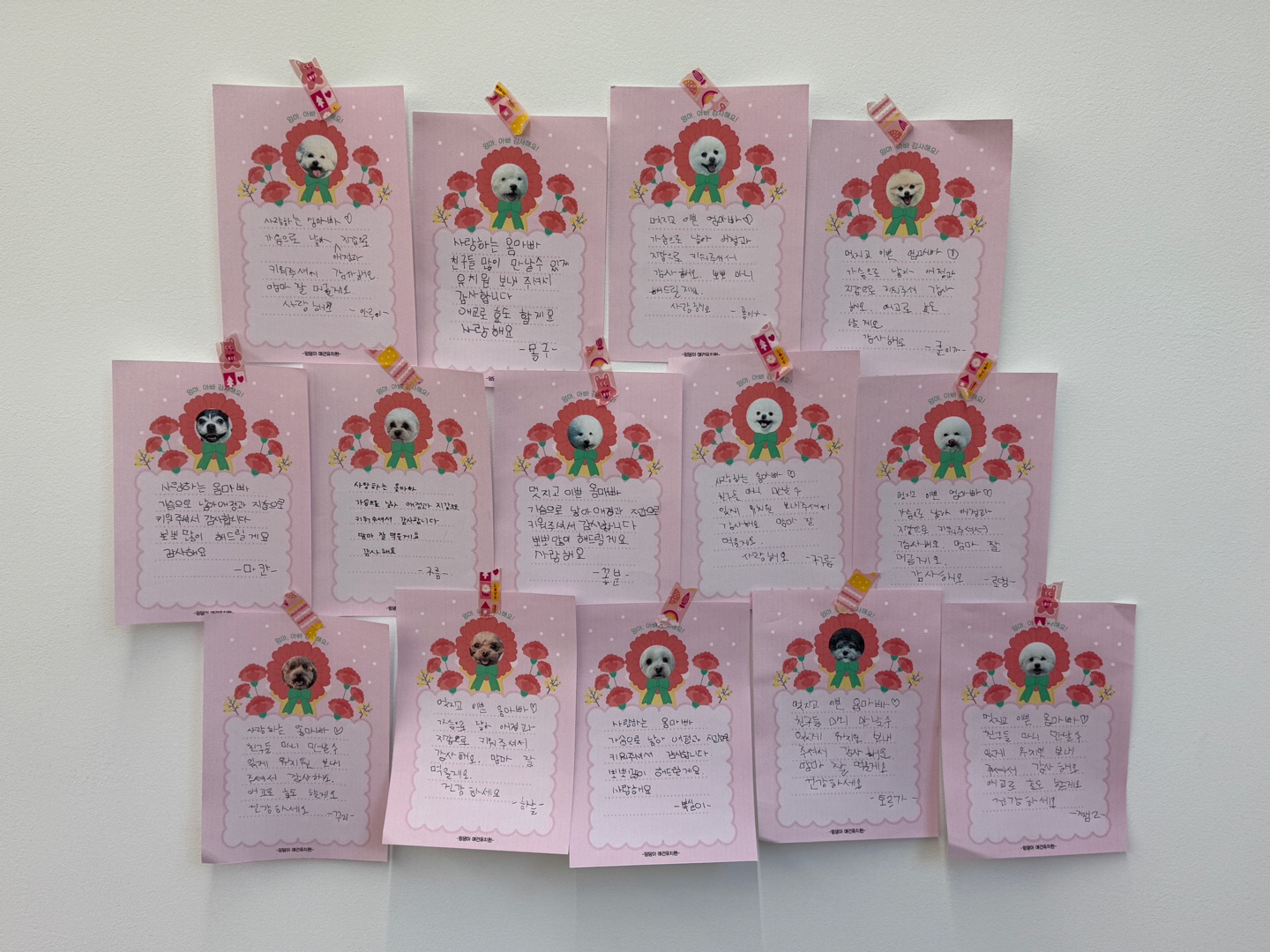 멍댕이 애견유치원 대표 이미지