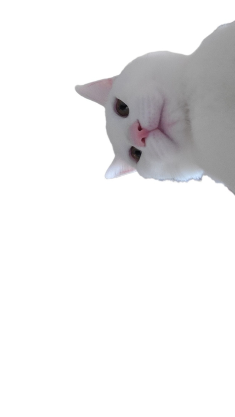얼스드럼통