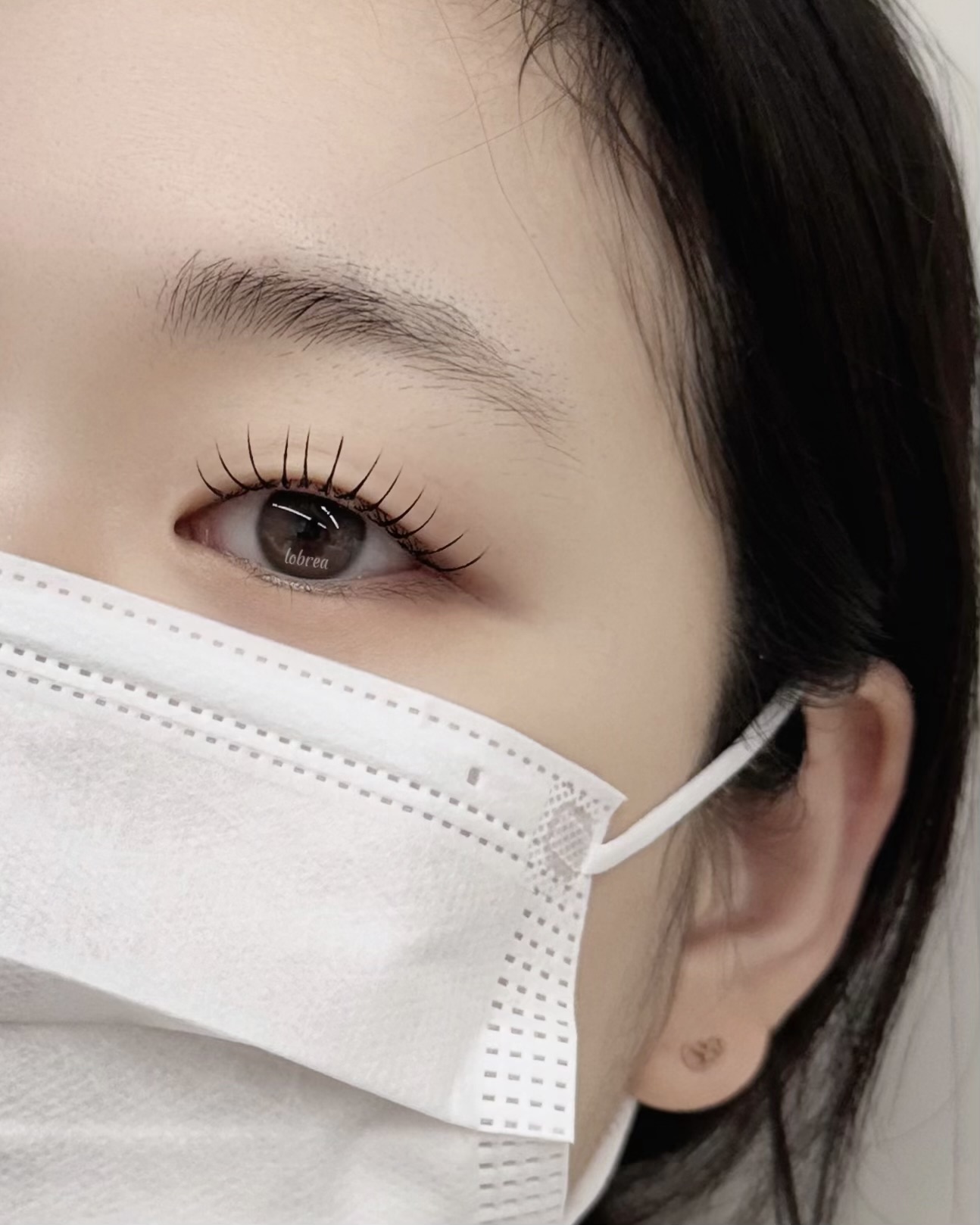 로브레아 대표 이미지