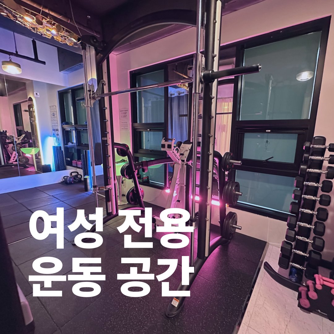 오렌다핏
