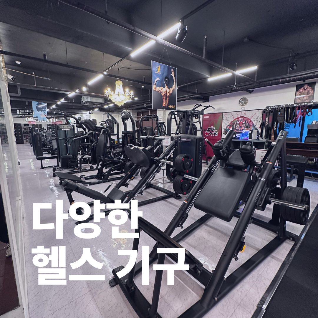 오렌다핏