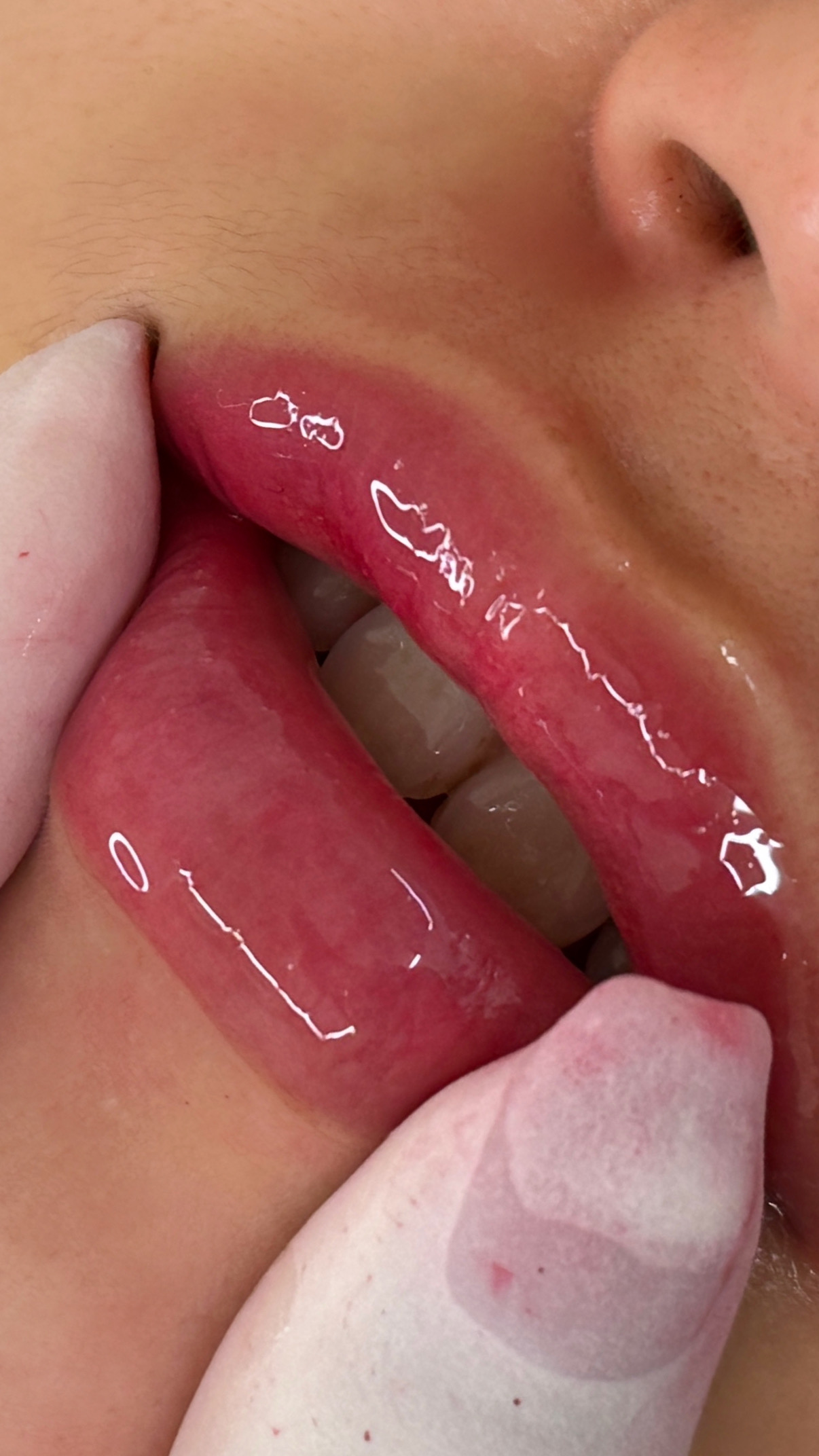 비비드유 대표 이미지