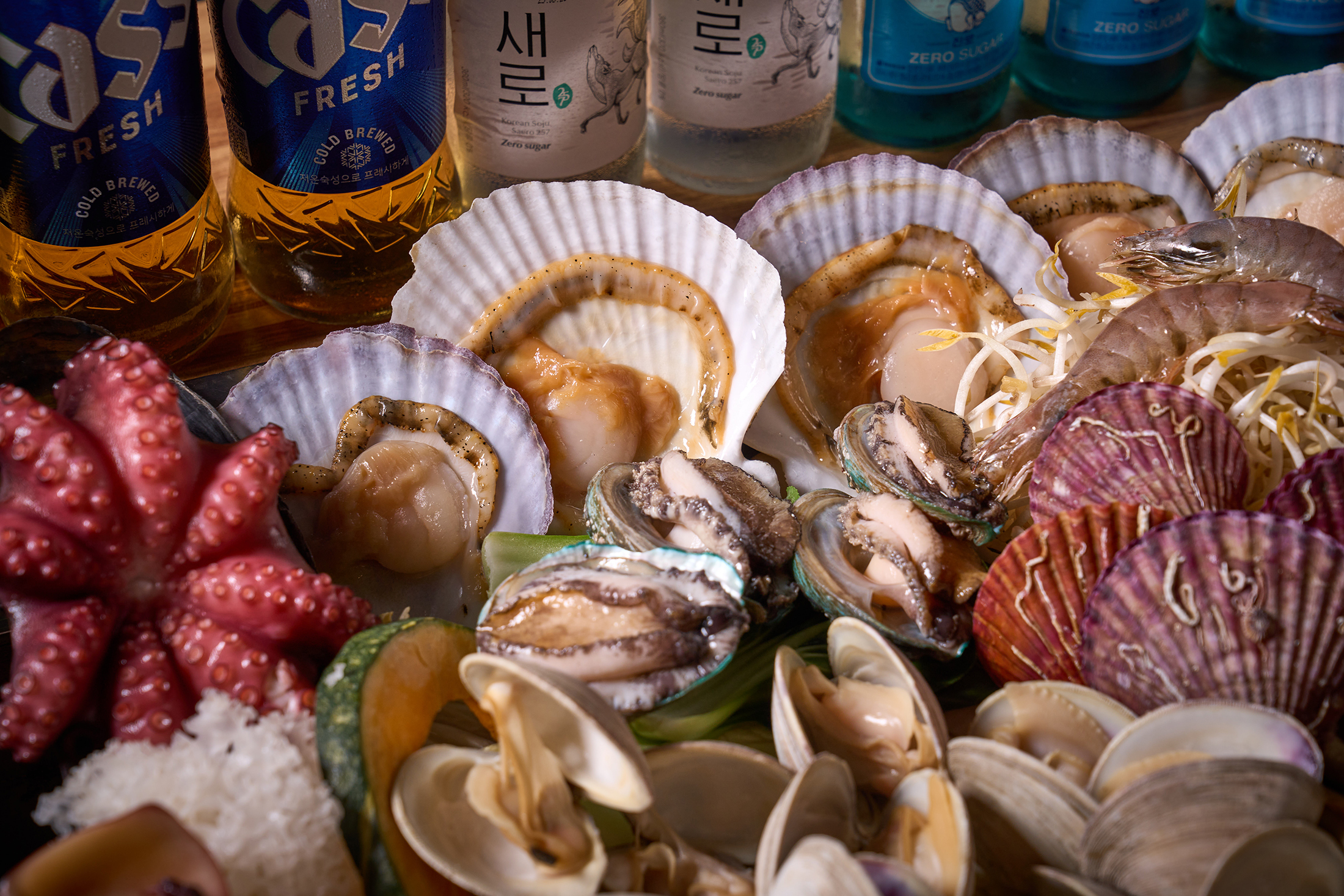 조개나라