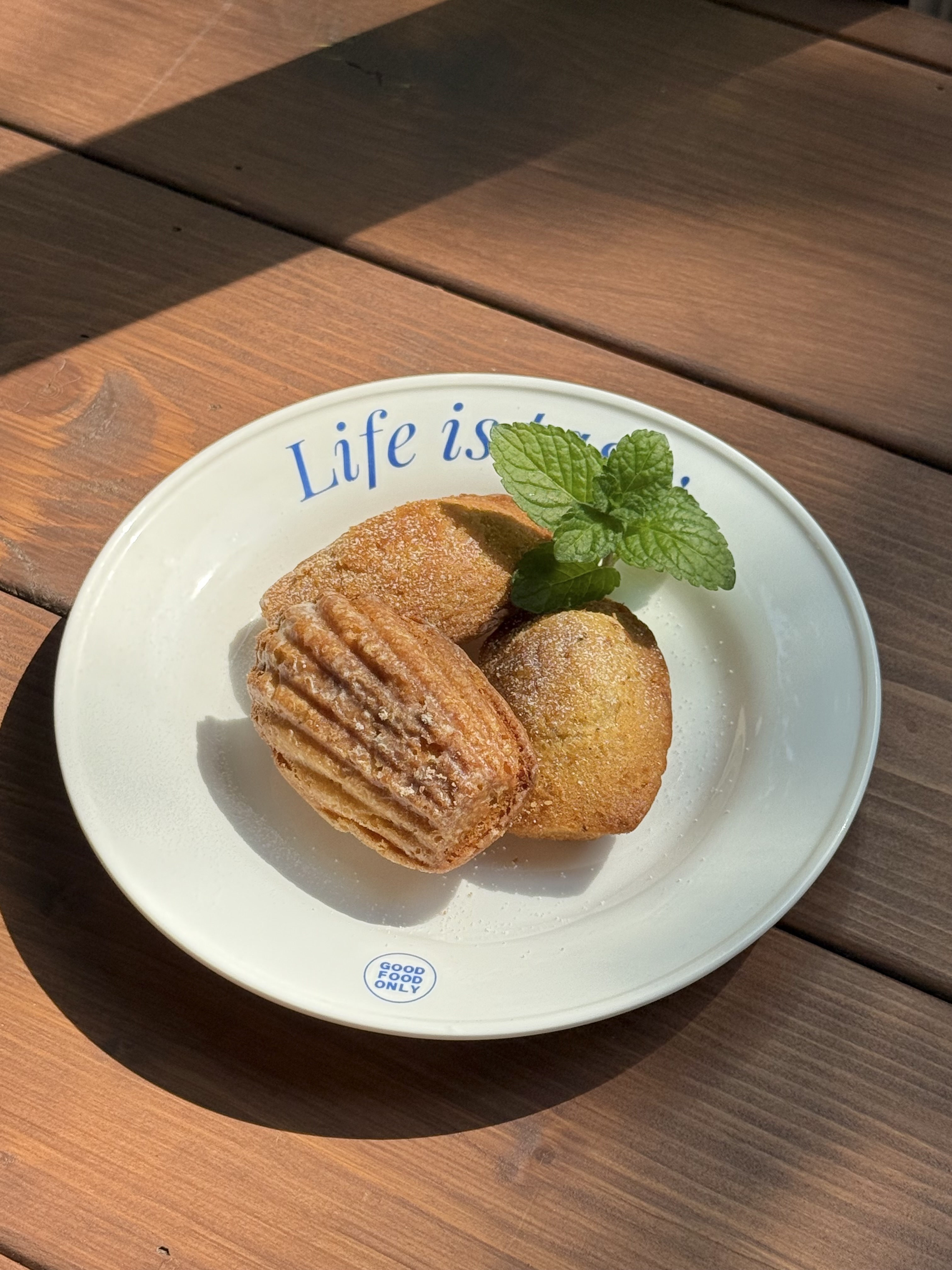 위디위키 대표 이미지