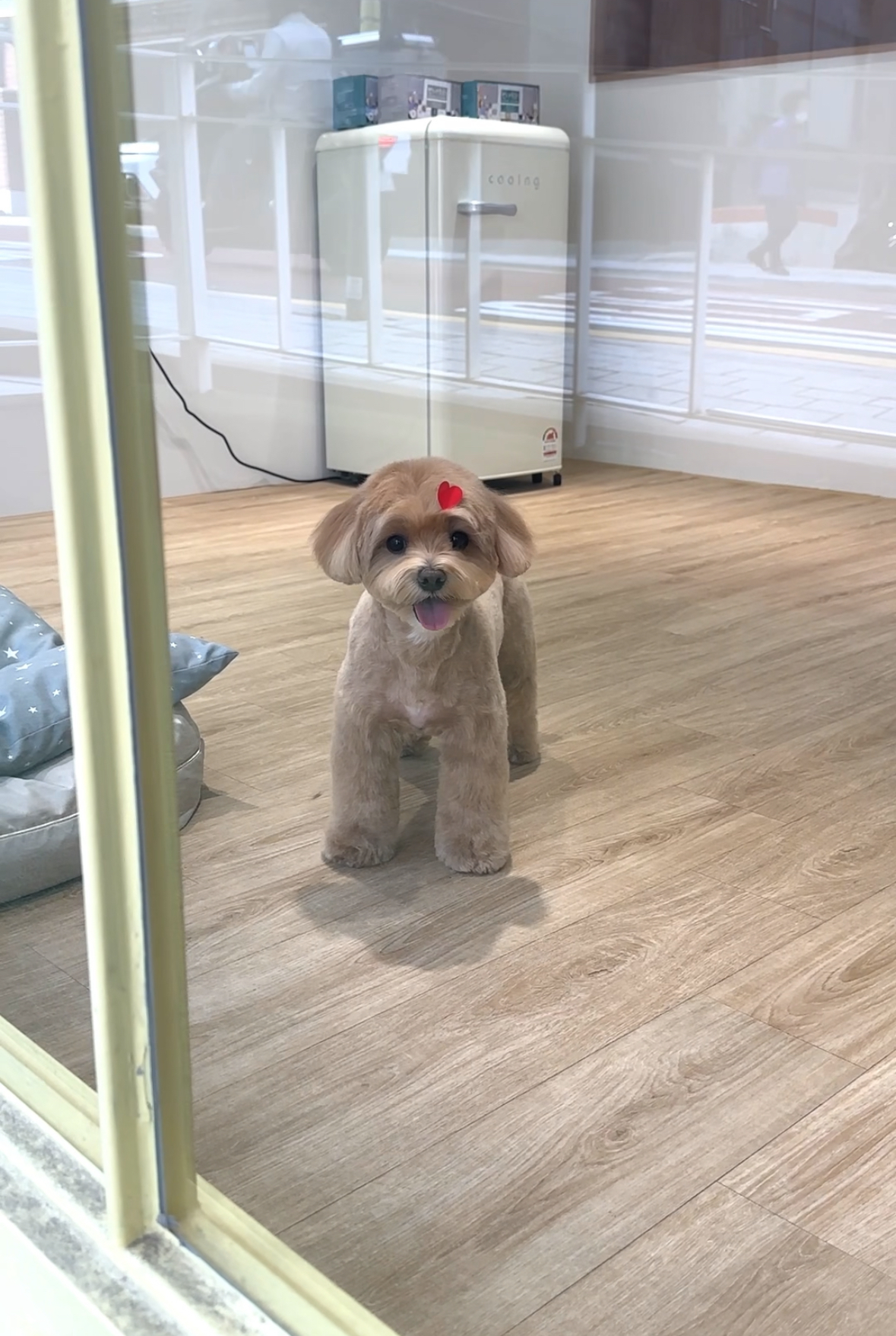 네추럴그루밍 대표 이미지