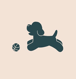 갈매독 애견유치원 대표 이미지