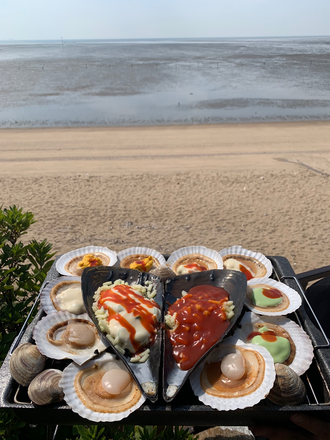 서해안조개광장