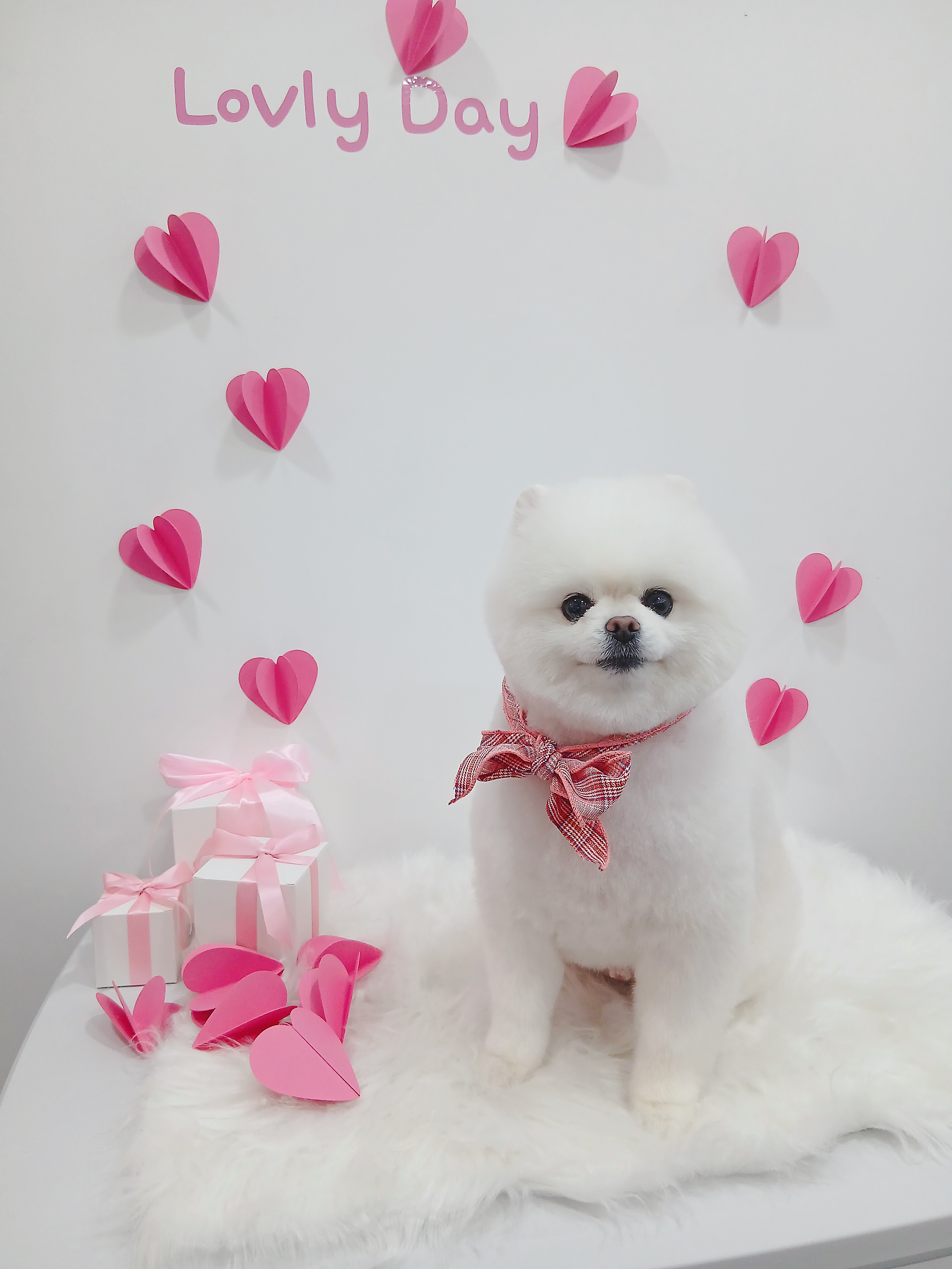 몽그라밍 대표 이미지