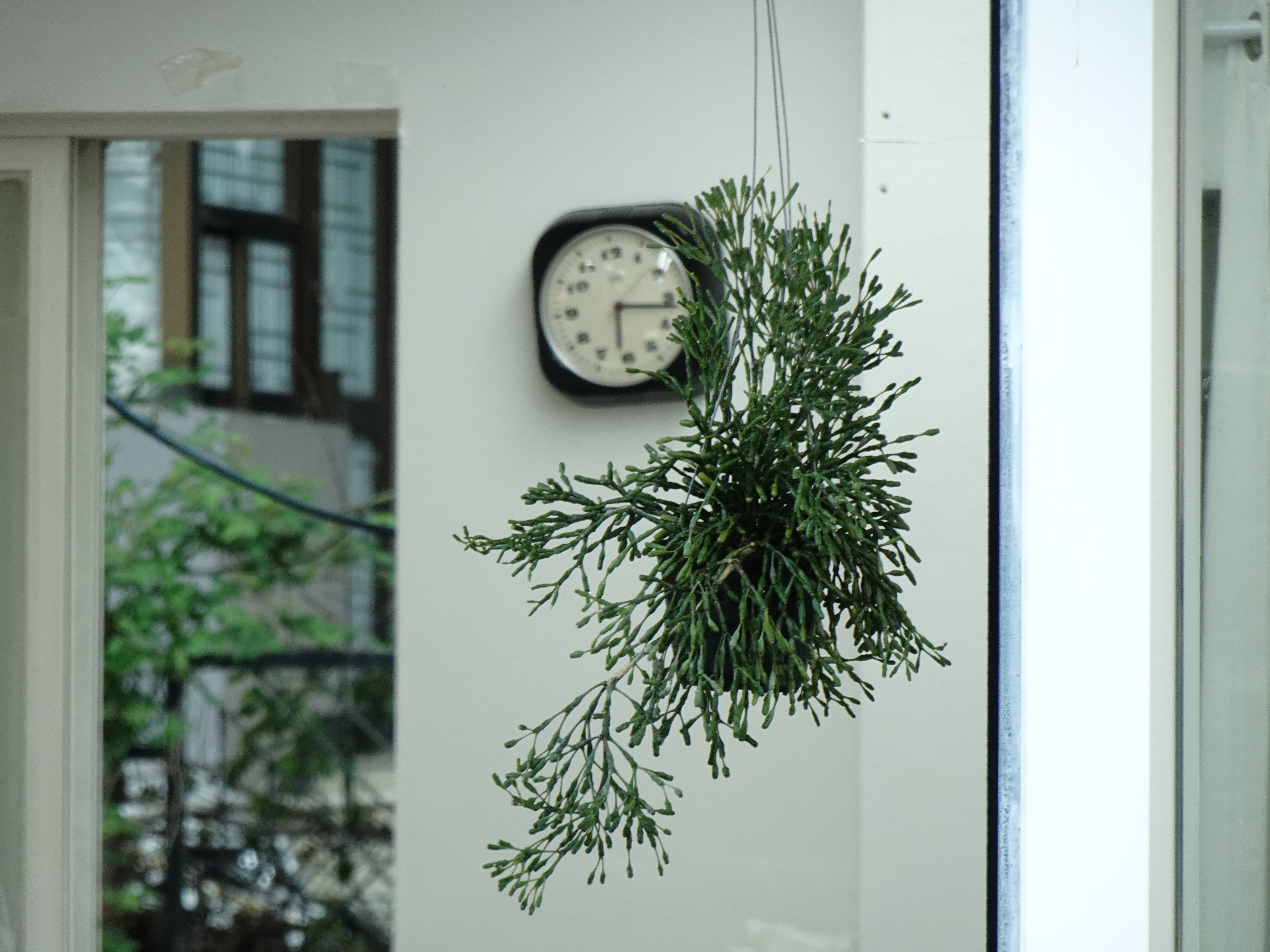 넵 카페 Nap.Studio.Cafe