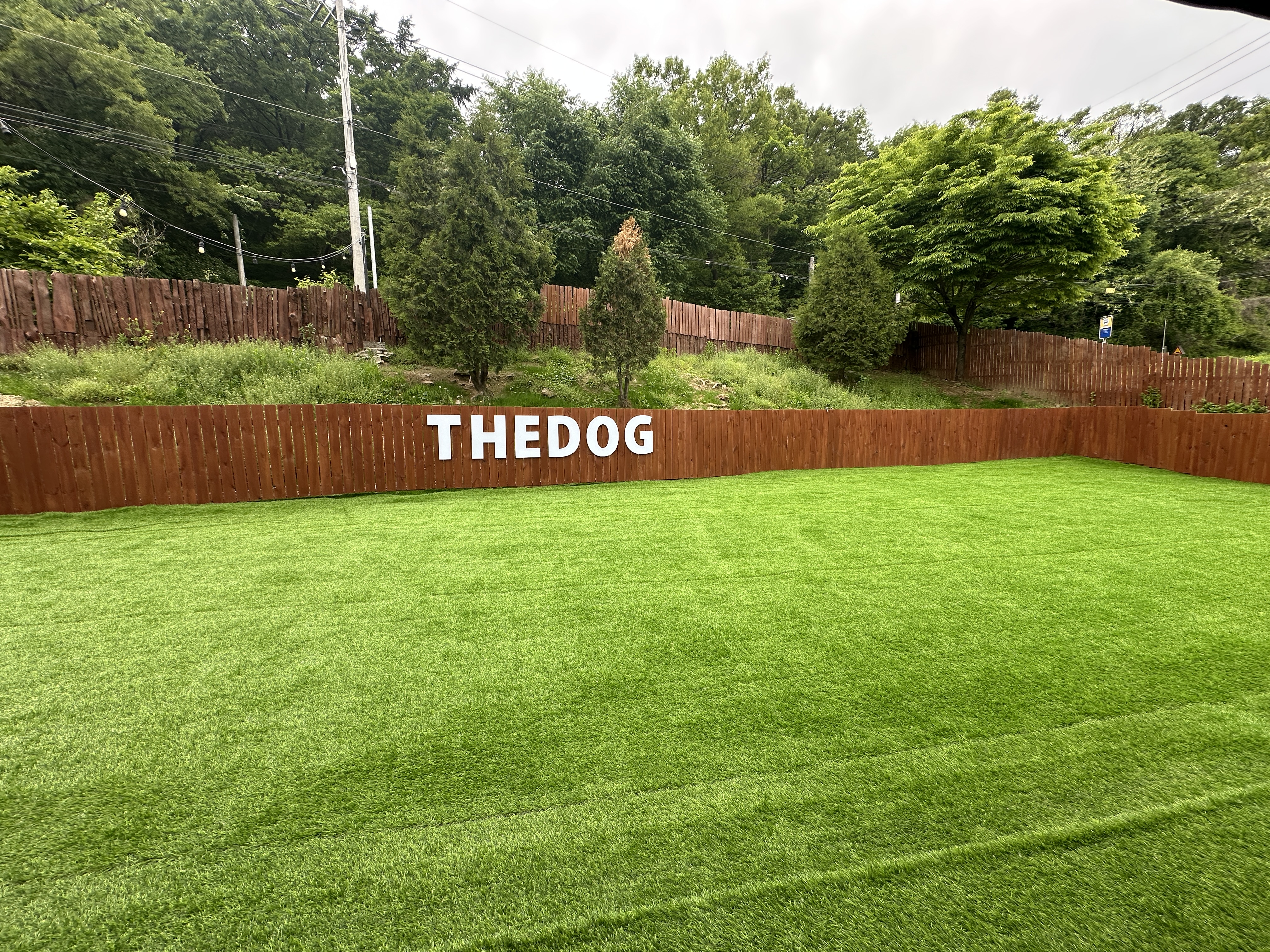 더독애견카페 대표 이미지