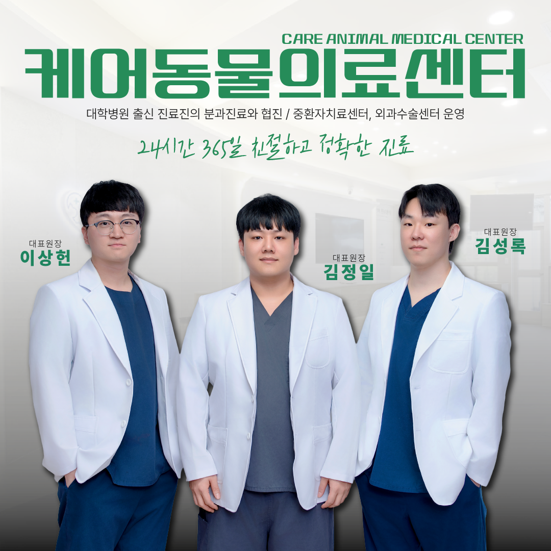 24시 케어동물의료센터