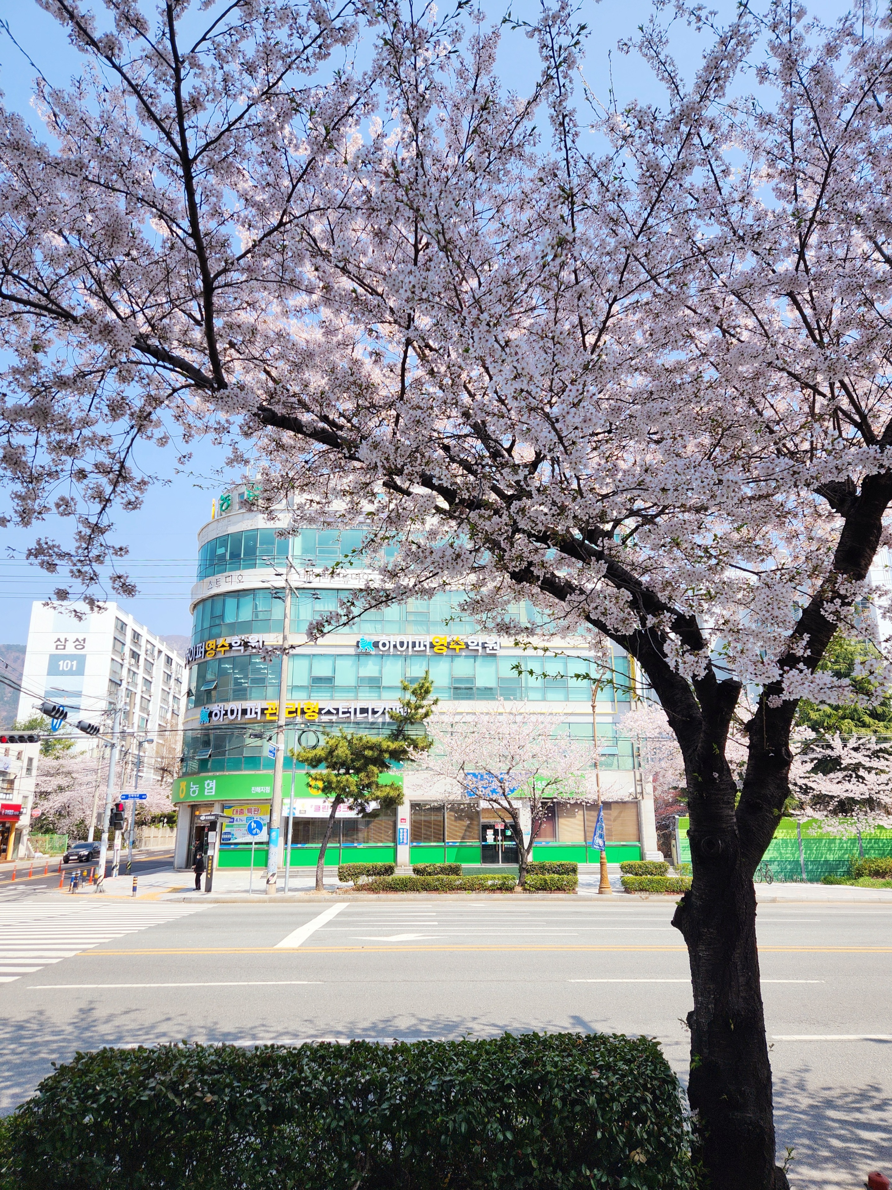 업체사진
