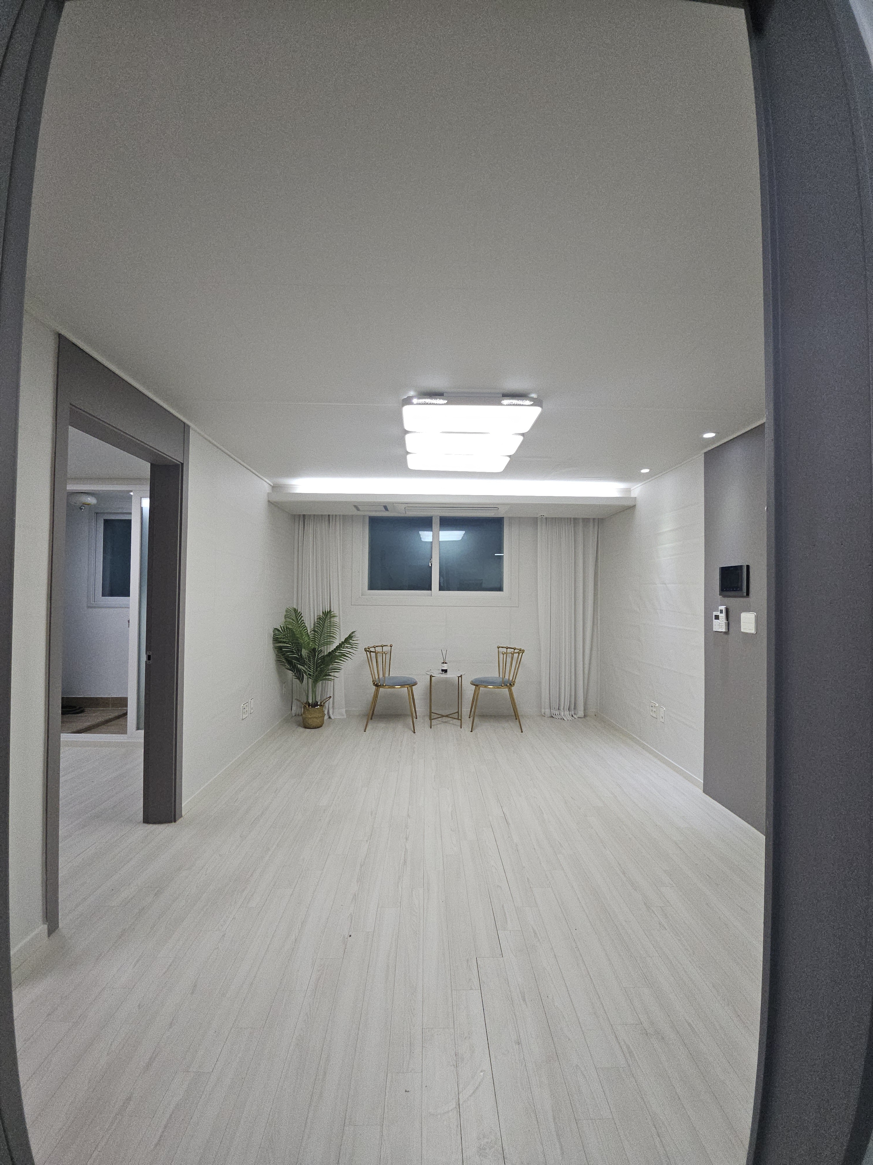 신의도배