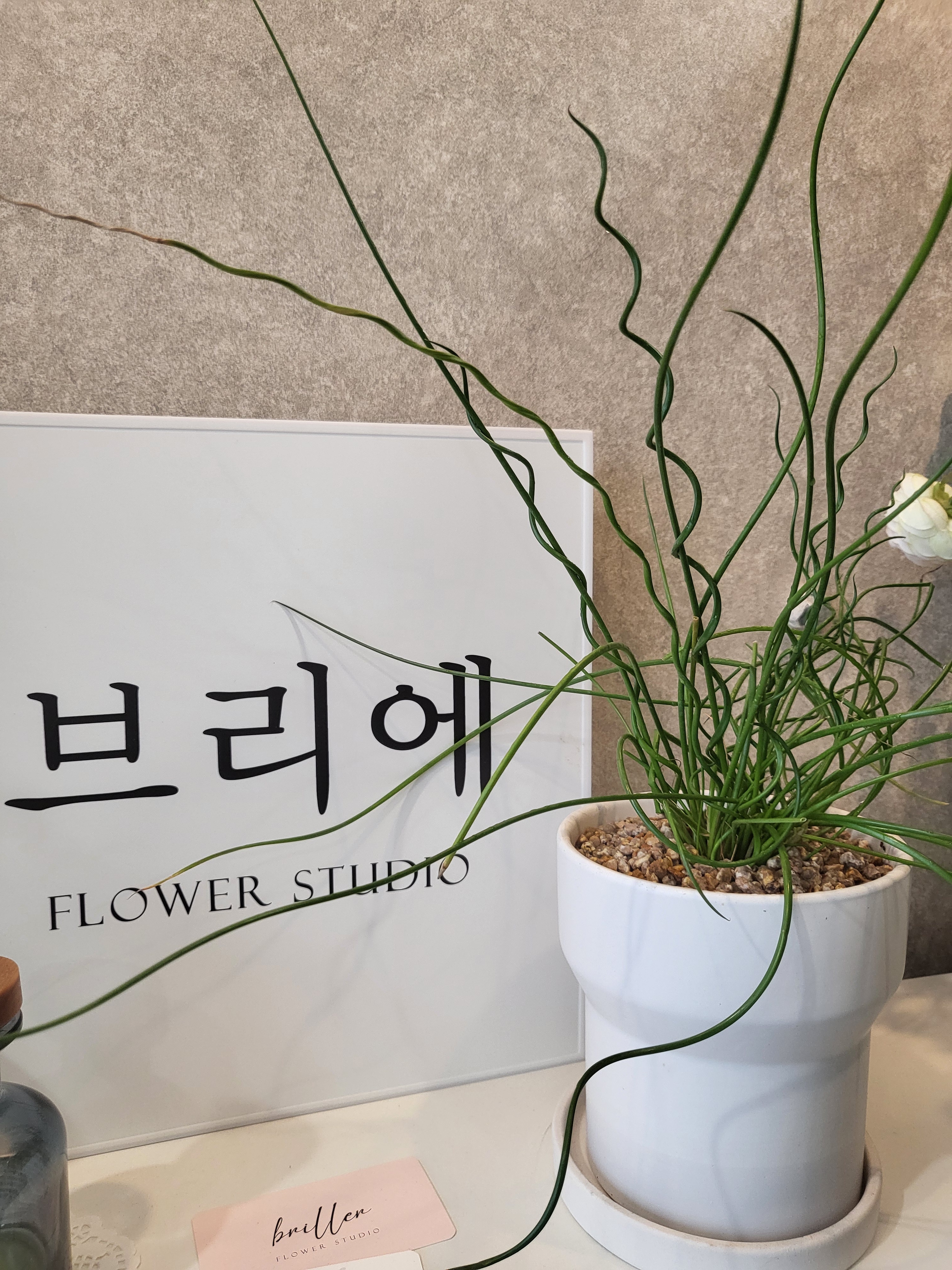 브리에플라워스튜디오 대표 이미지