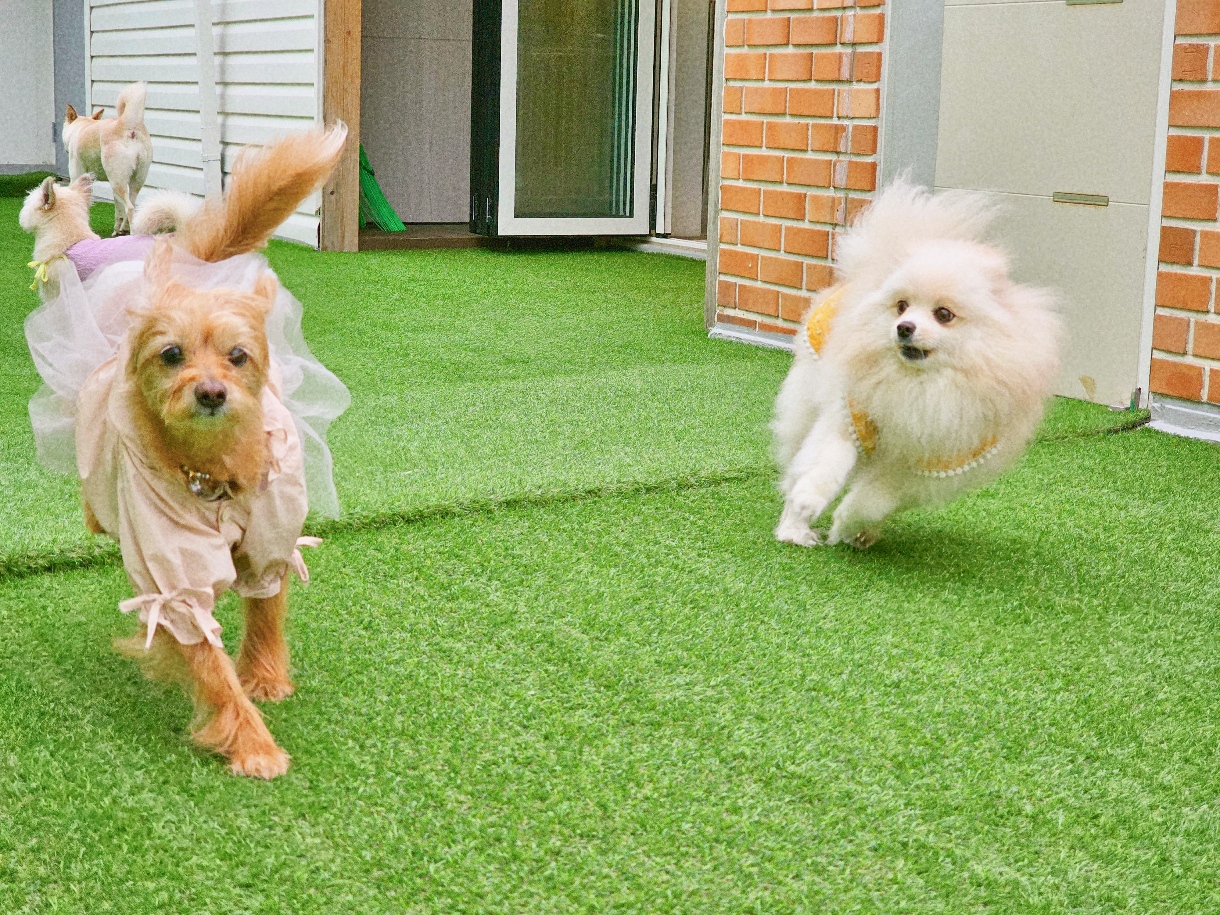 온마을 아카데미 대표 이미지