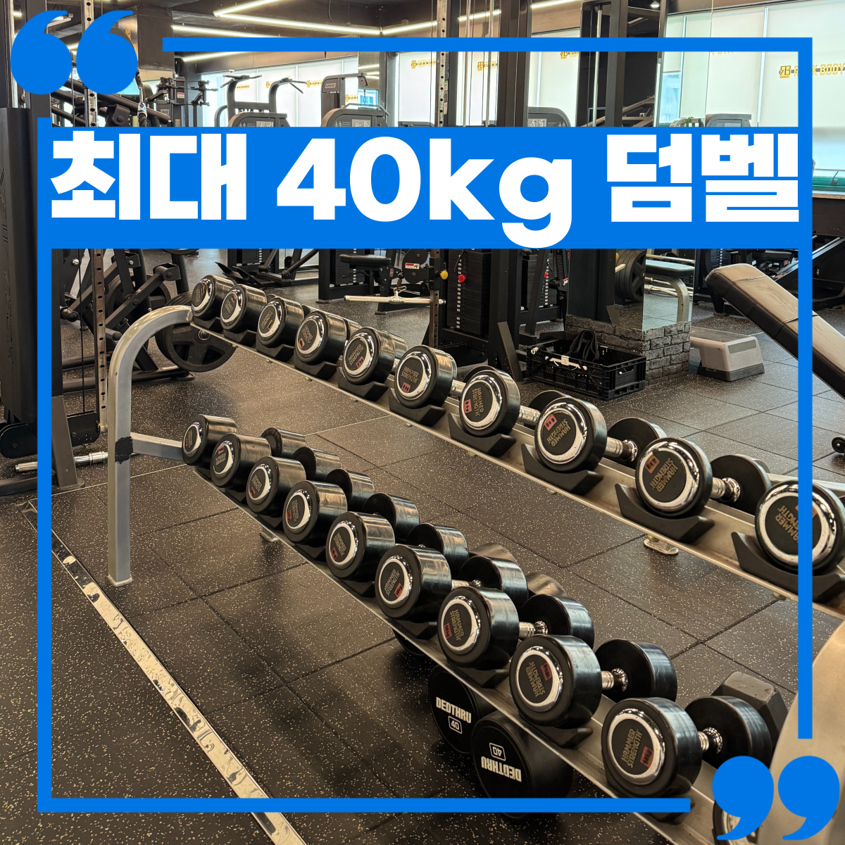 락바디짐
