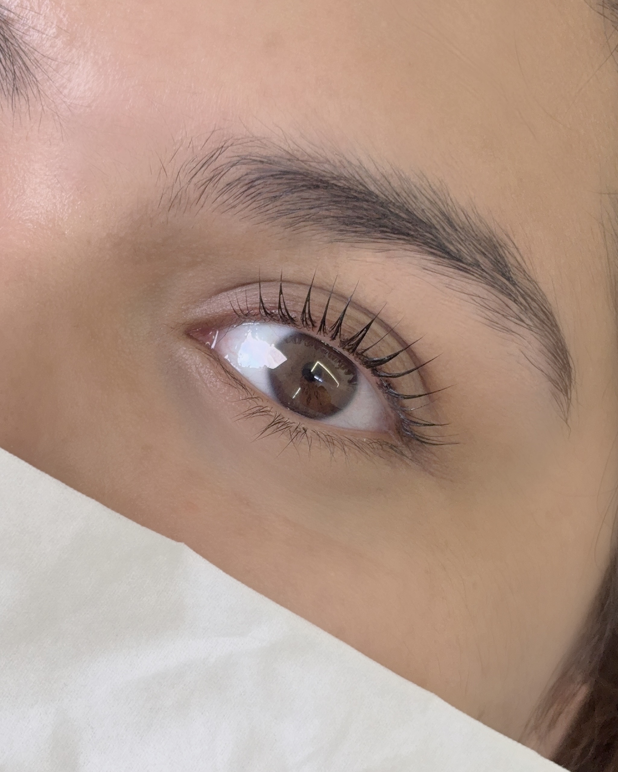 컬러피윤 대표 이미지