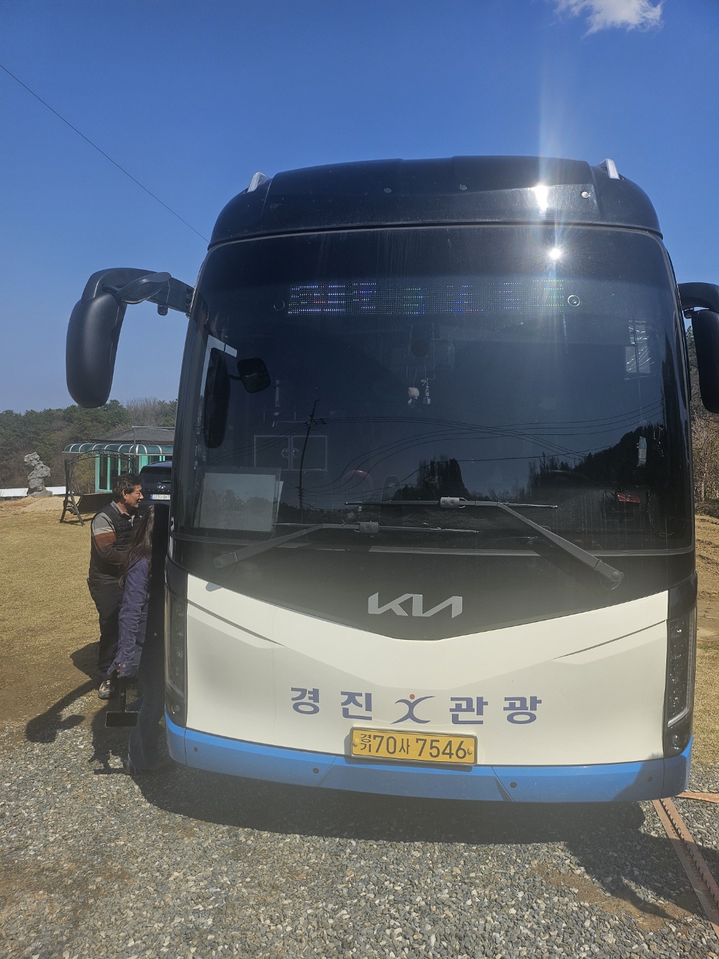 마로니에