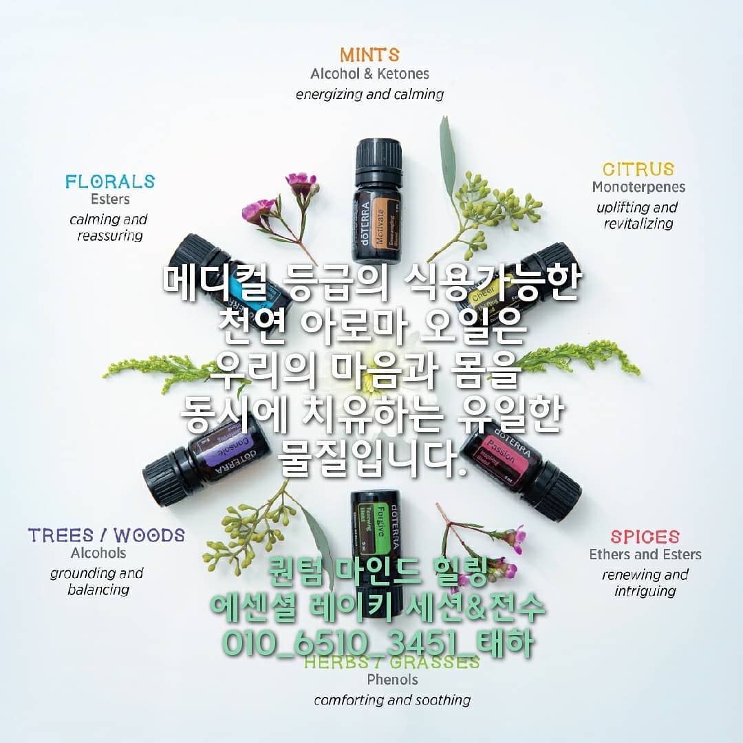 태하 타로 테라피