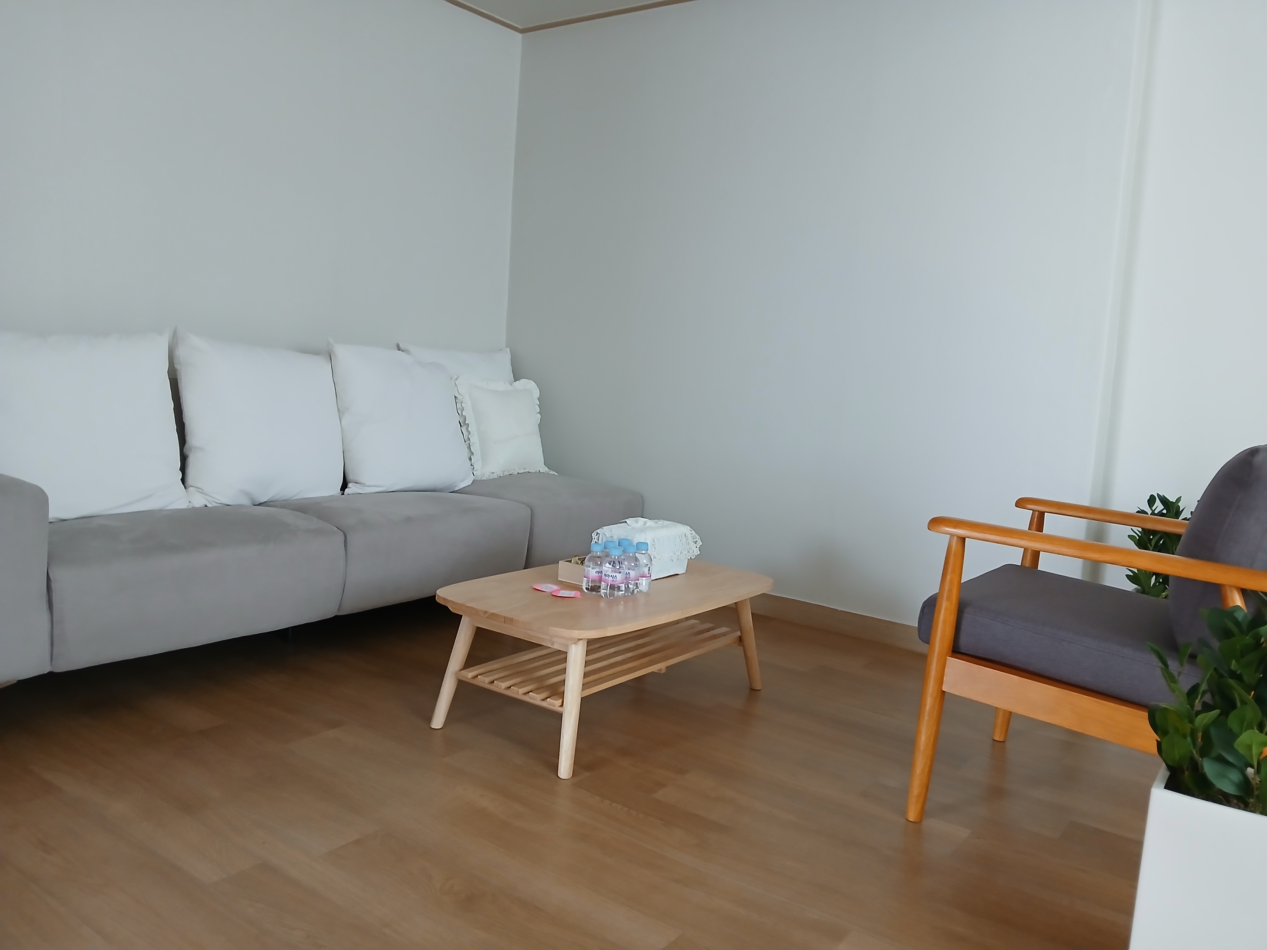 마음정원심리상담치유센터 대표 이미지