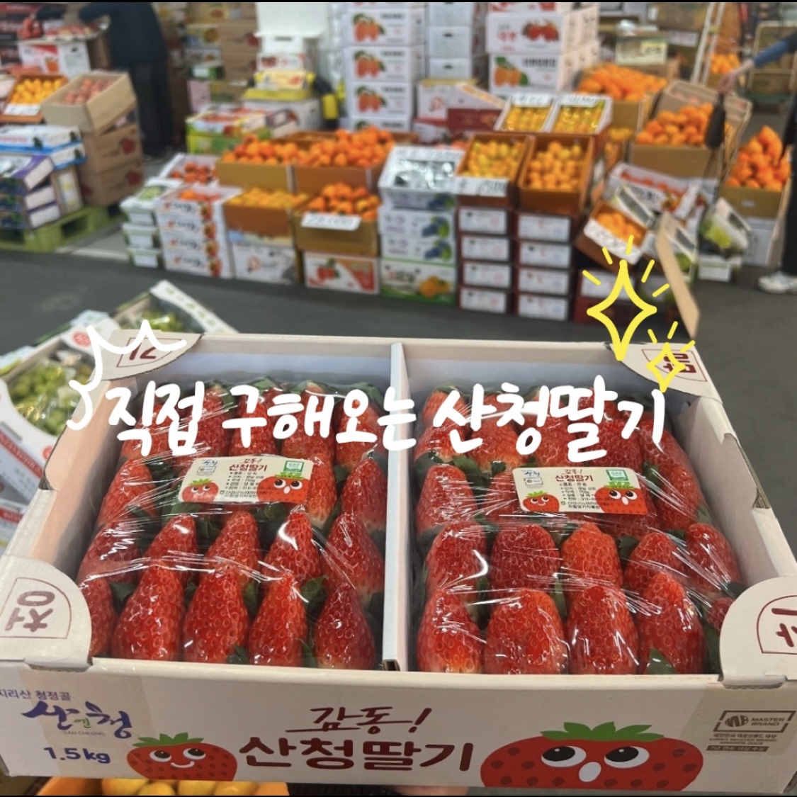 요거피플 경남대점