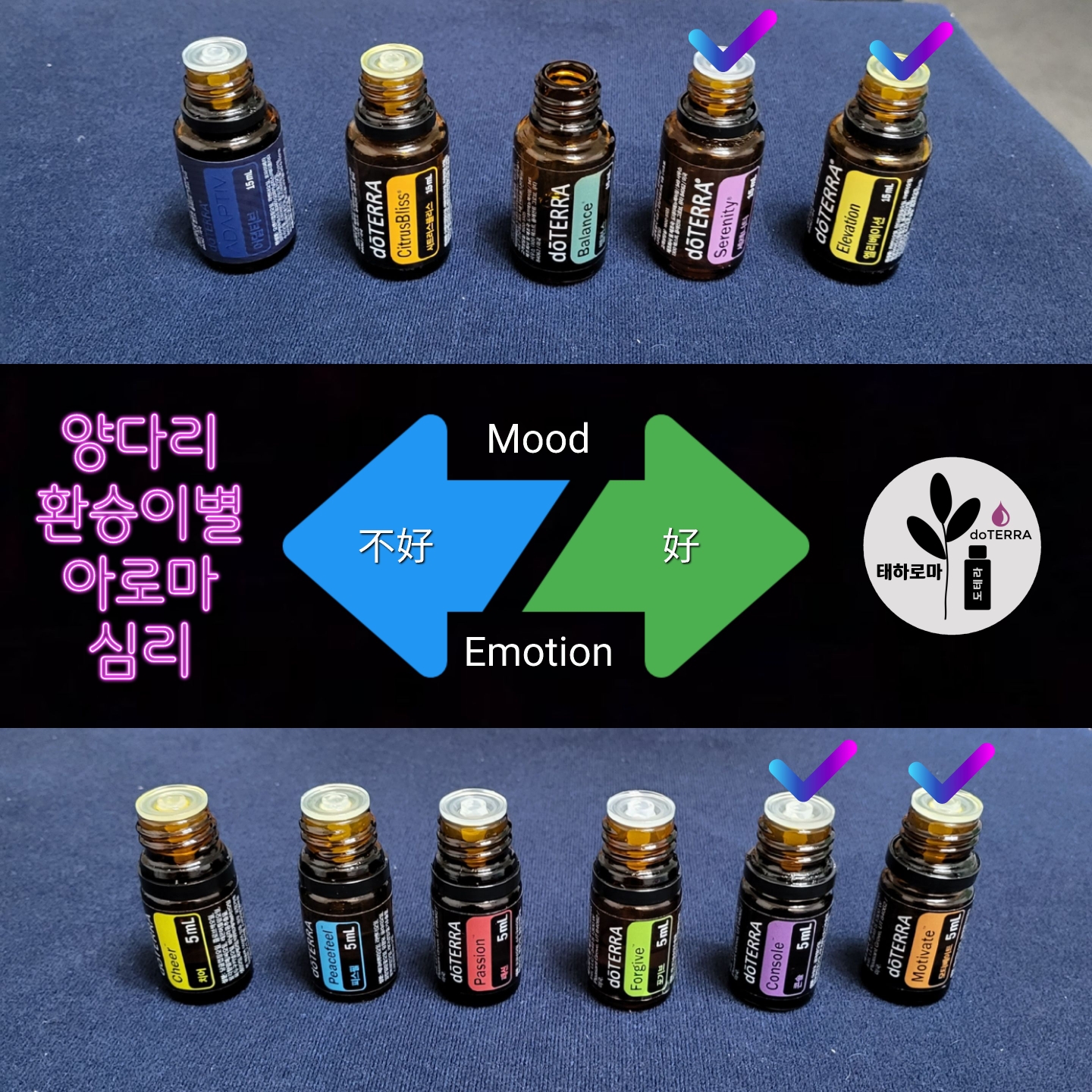 태하 타로 테라피