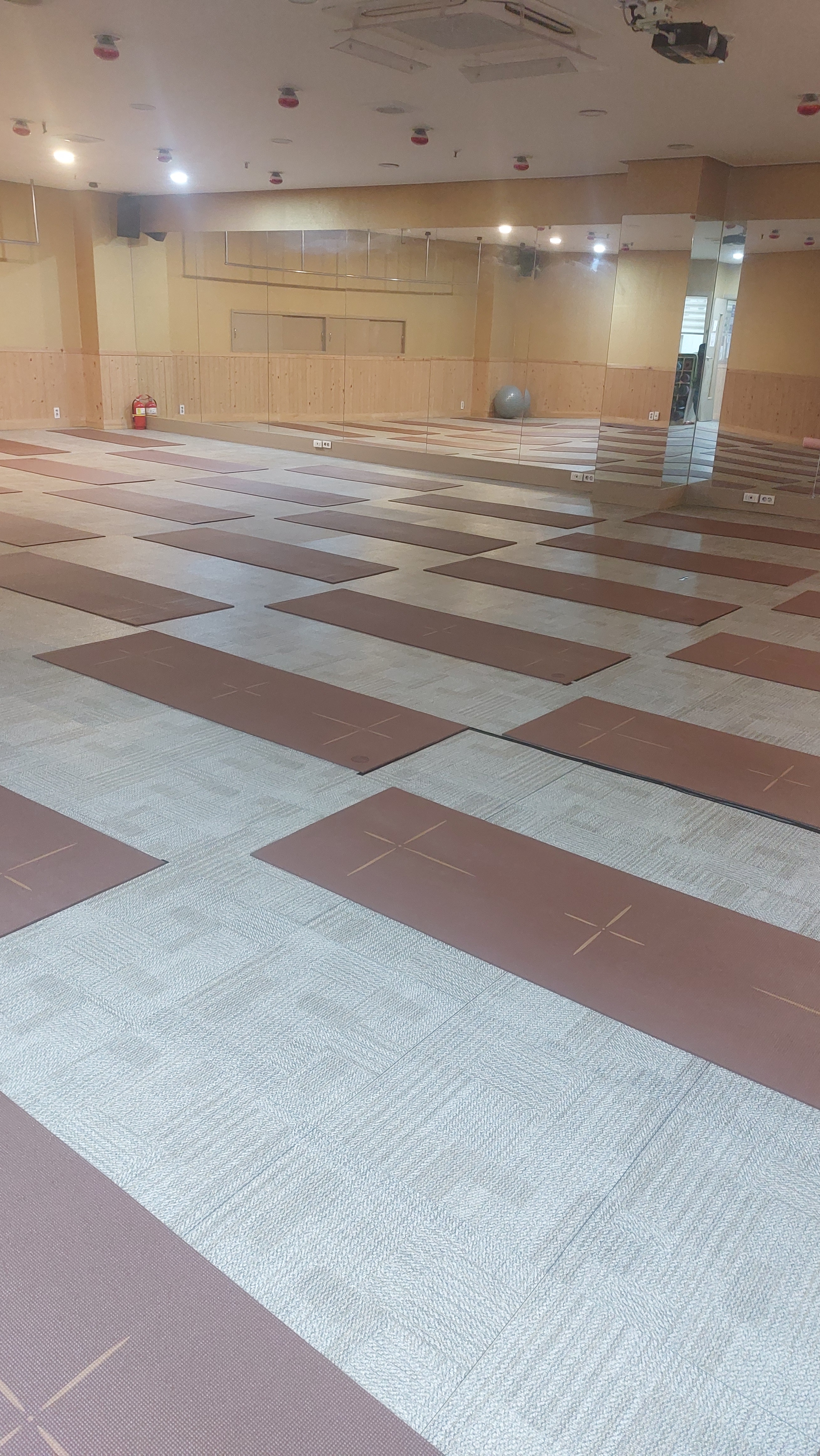 4차원균형다이어트요가원상남점 대표 이미지