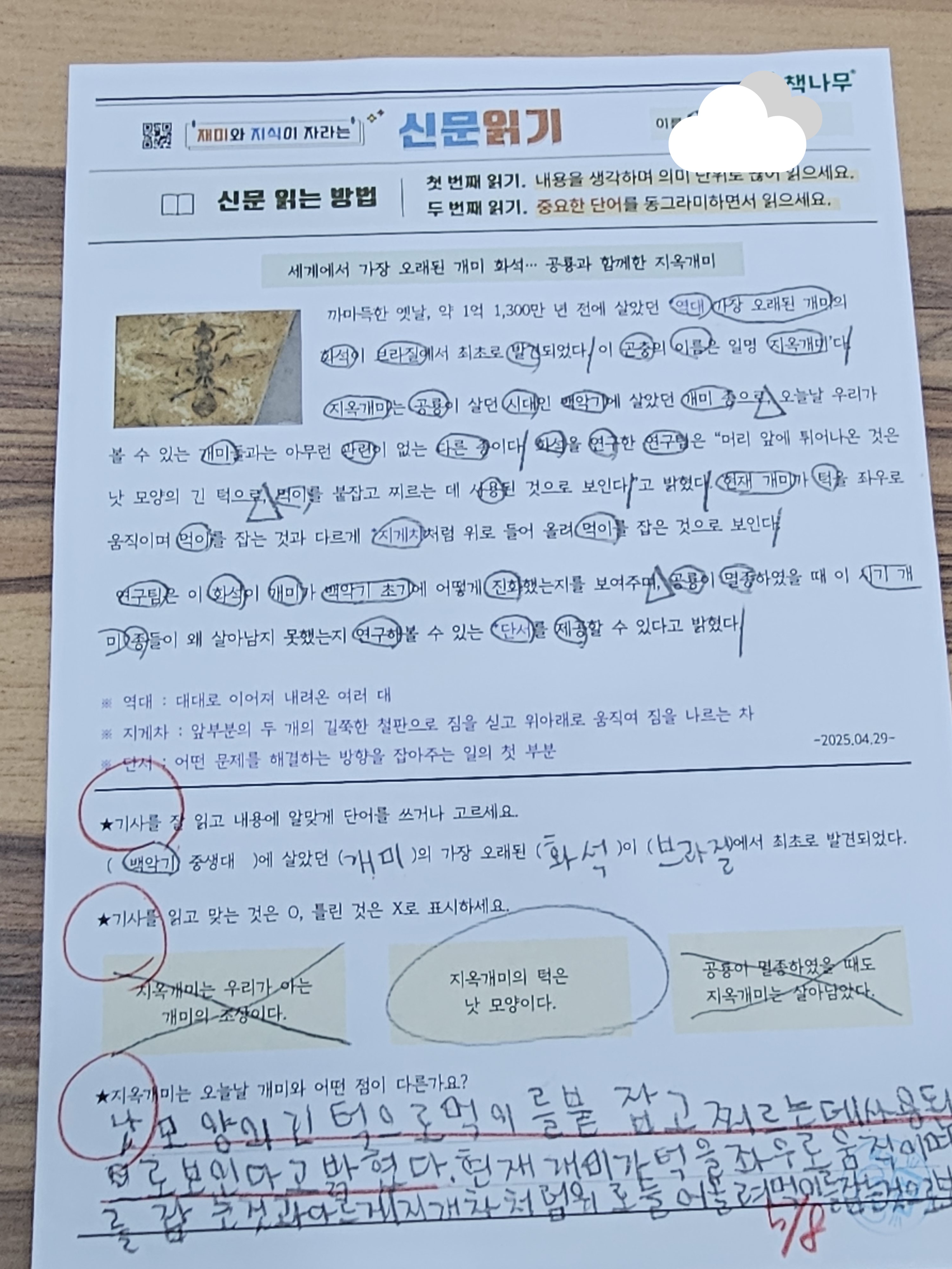 책나무유가독서학원/국어학원