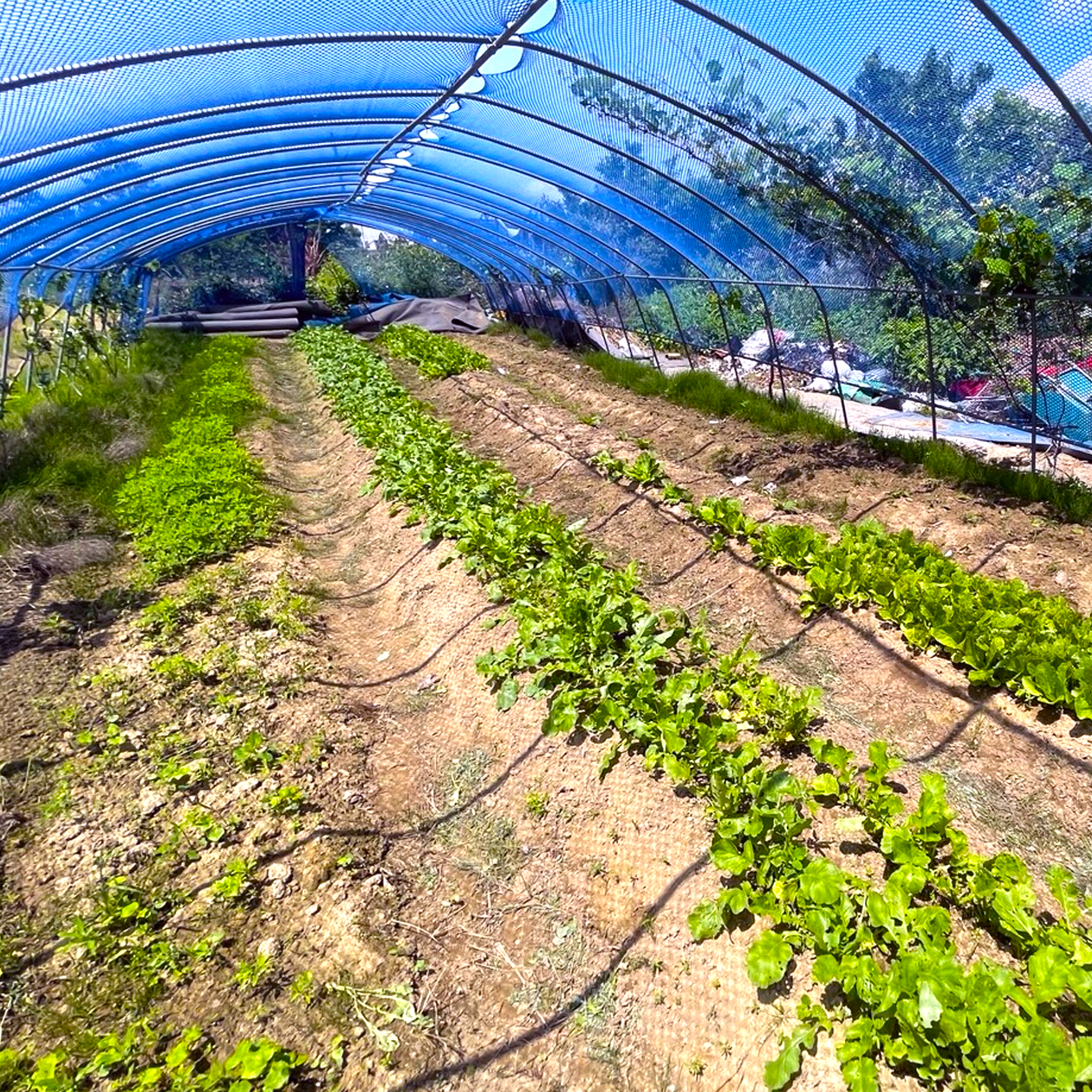 하이든대동 대표 이미지