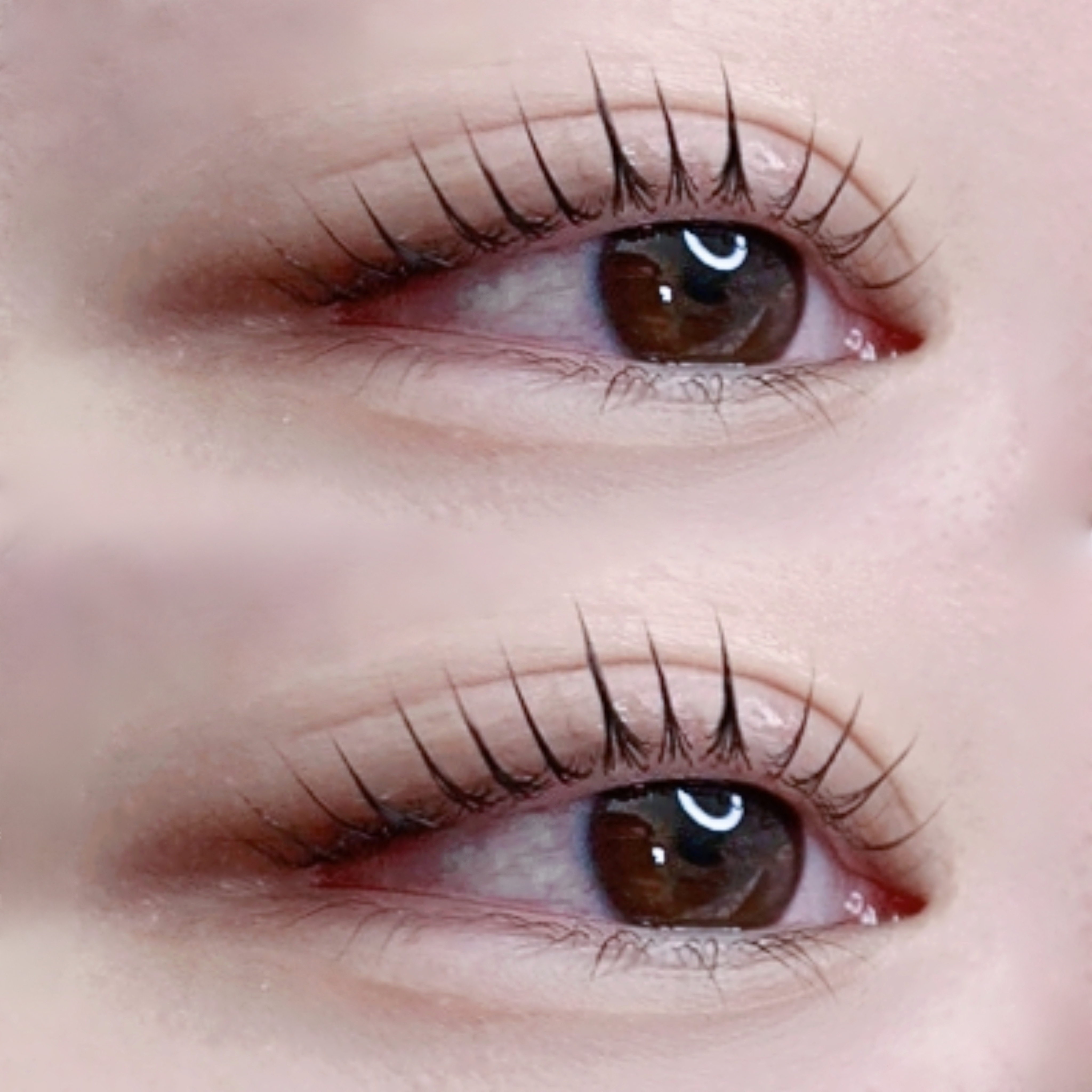 서리브로우 대표 이미지