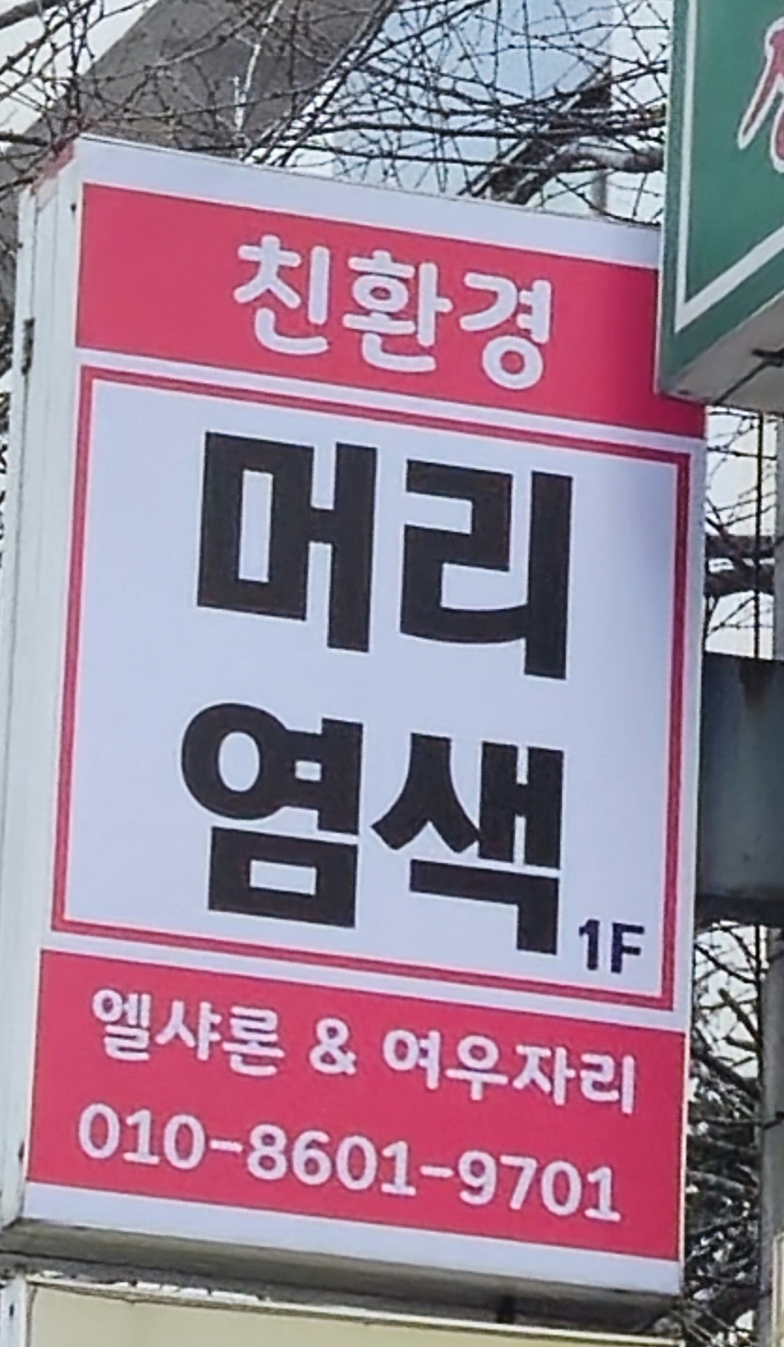엘샤론