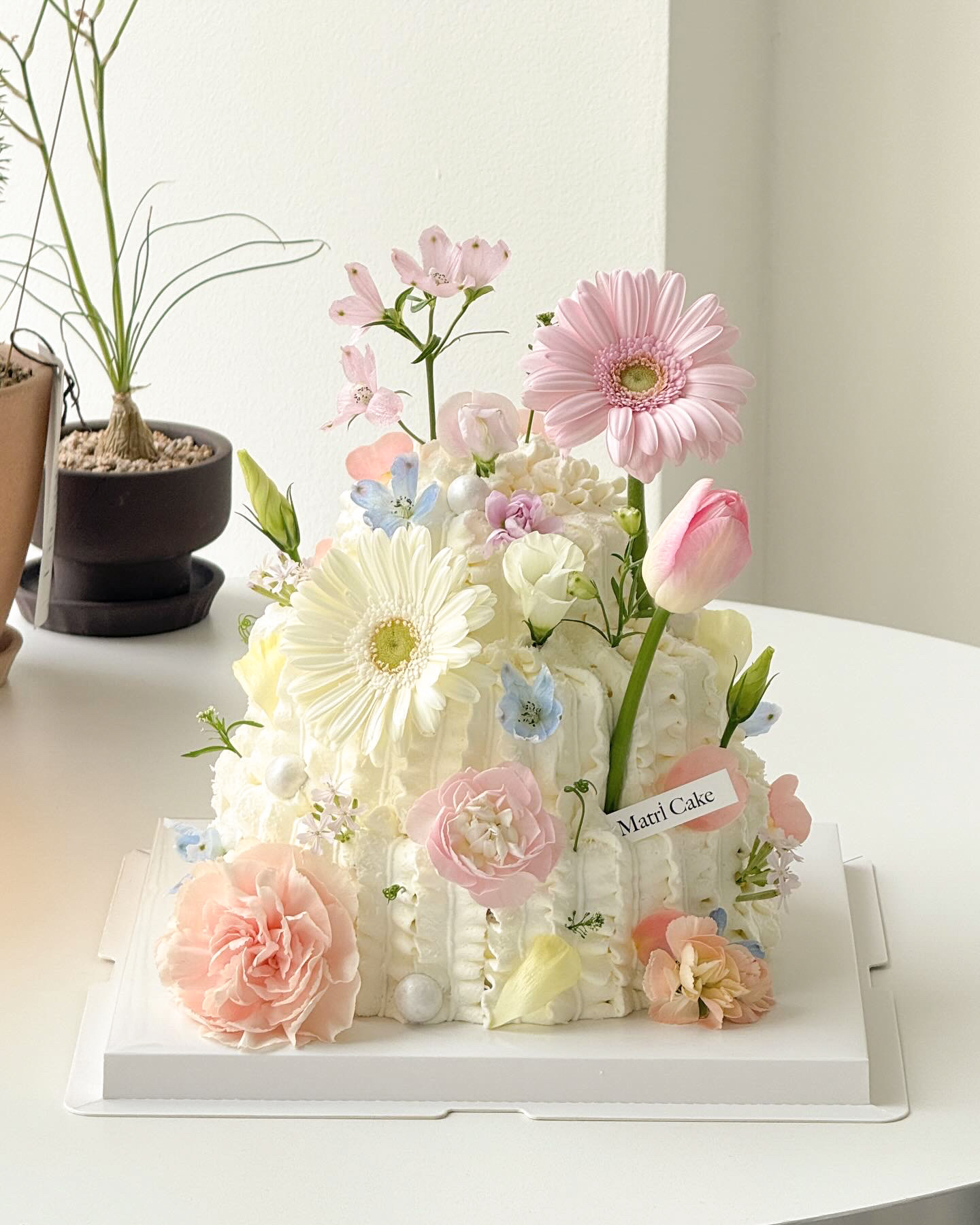 마트리케이크