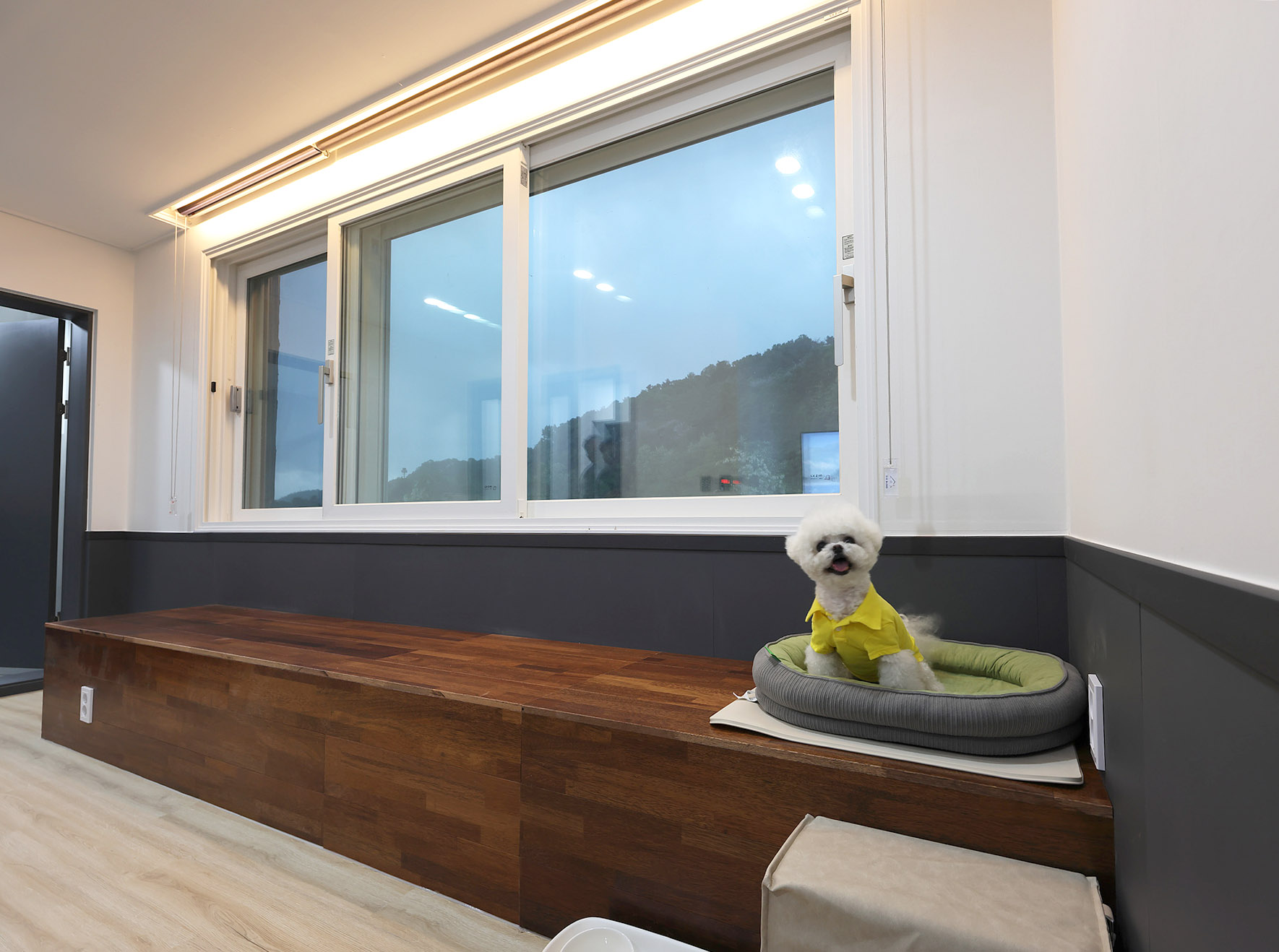 포레아 대표 이미지