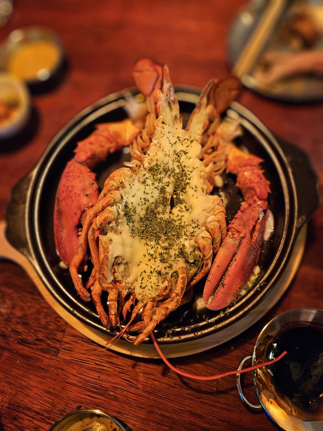 디엠지