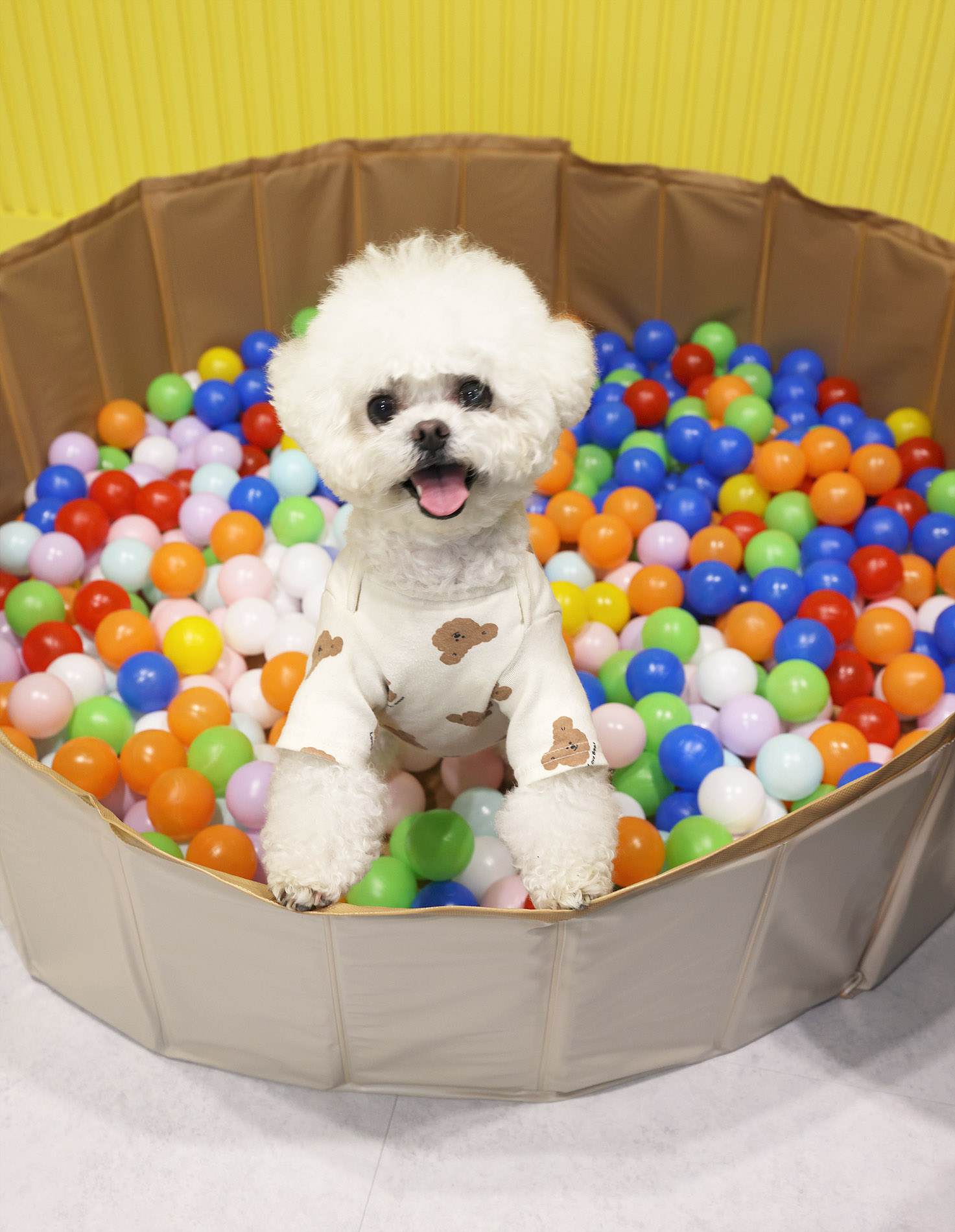 포레아 대표 이미지