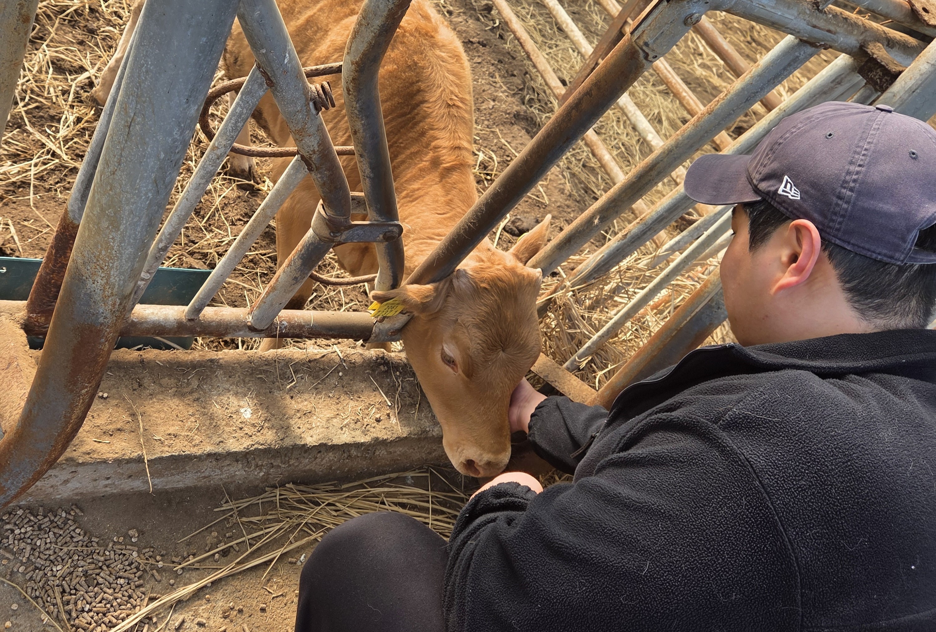 명가명품 횡성한우프라자