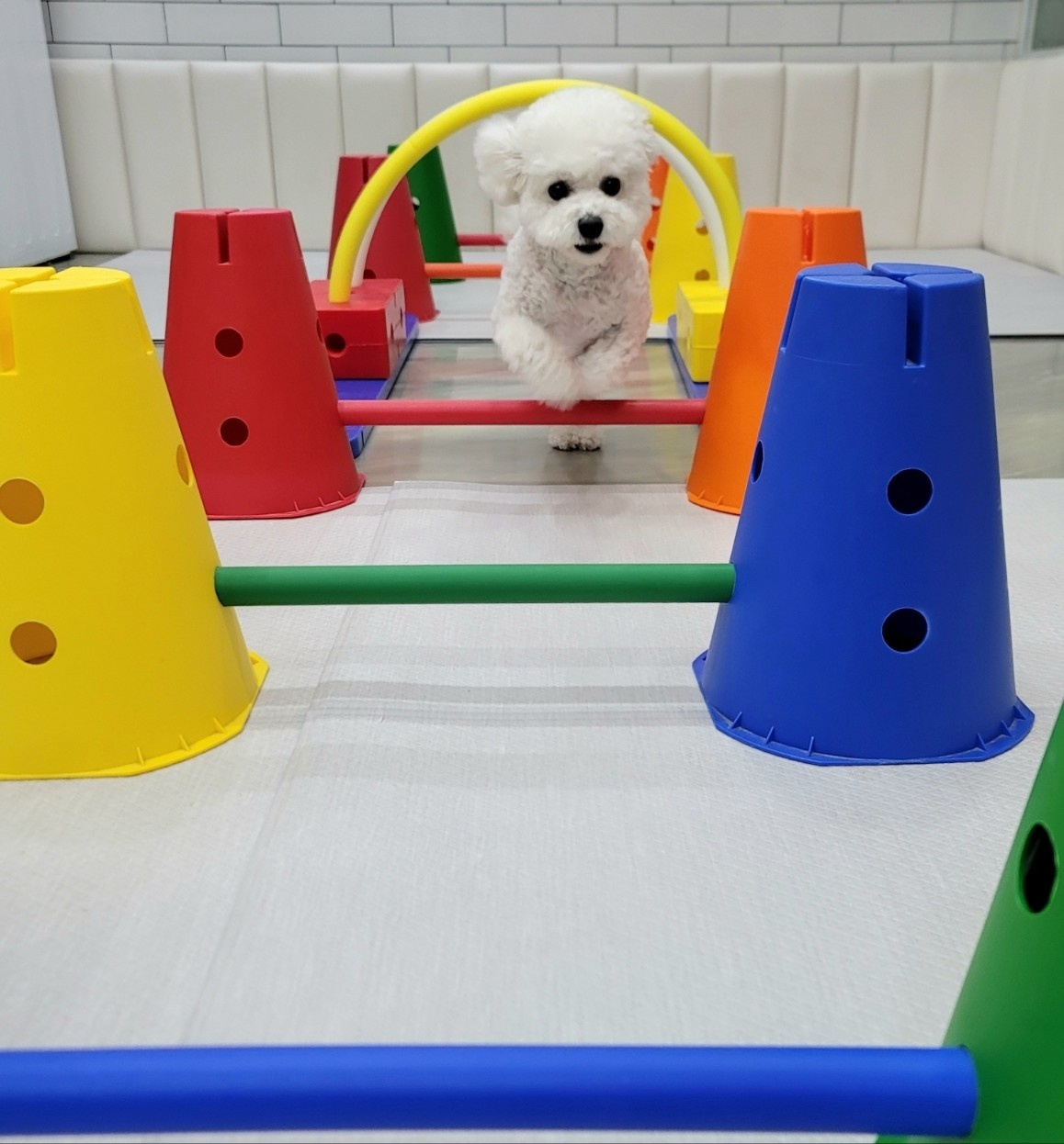 멍찌네하우스 대표 이미지