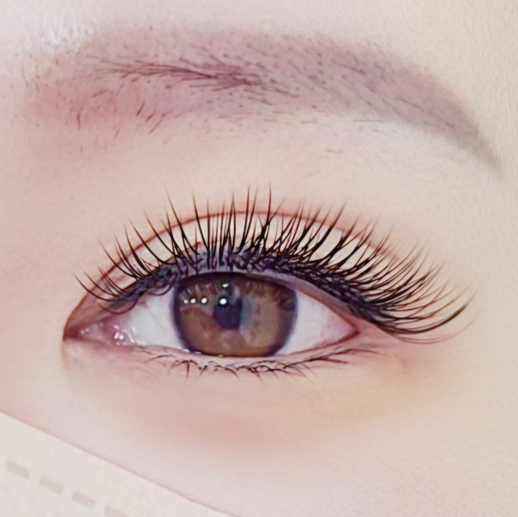 이리온뷰티샵 천안 쌍용동 대표 이미지