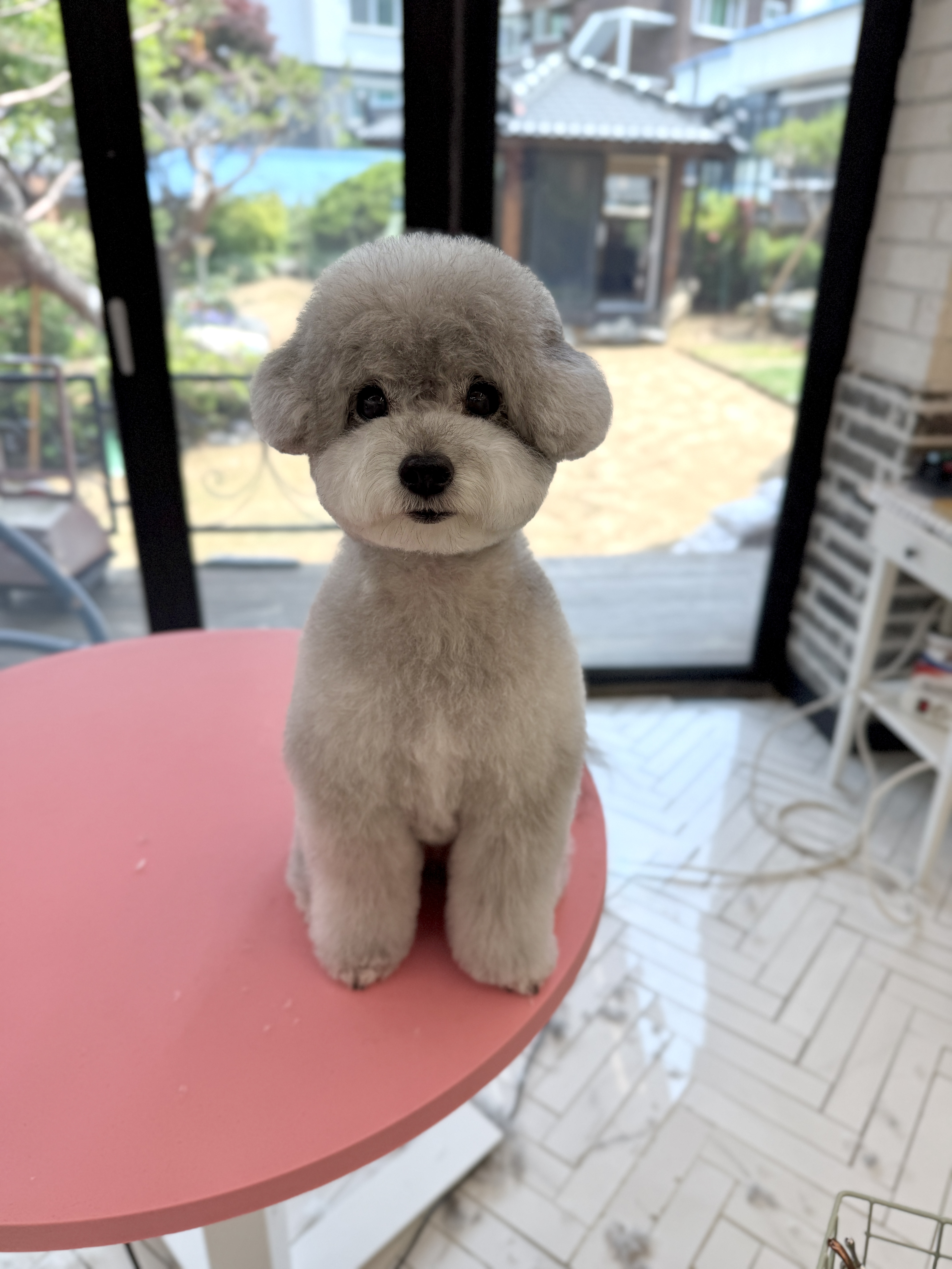 코지퍼즈
