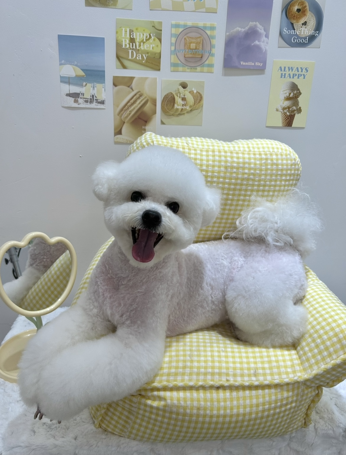 마이멍멍 대표 이미지