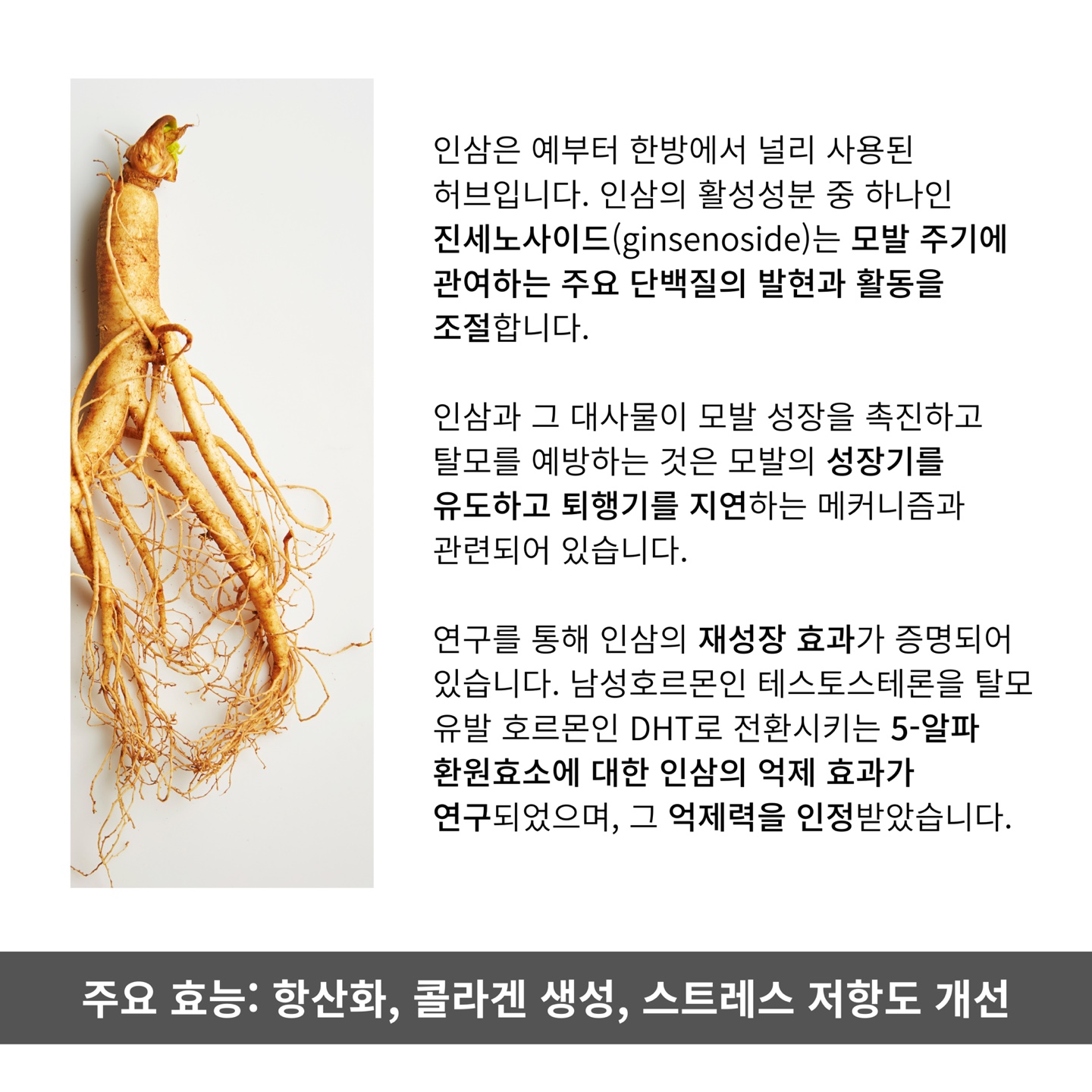 모리셋두피재생센터 당진점 대표 이미지