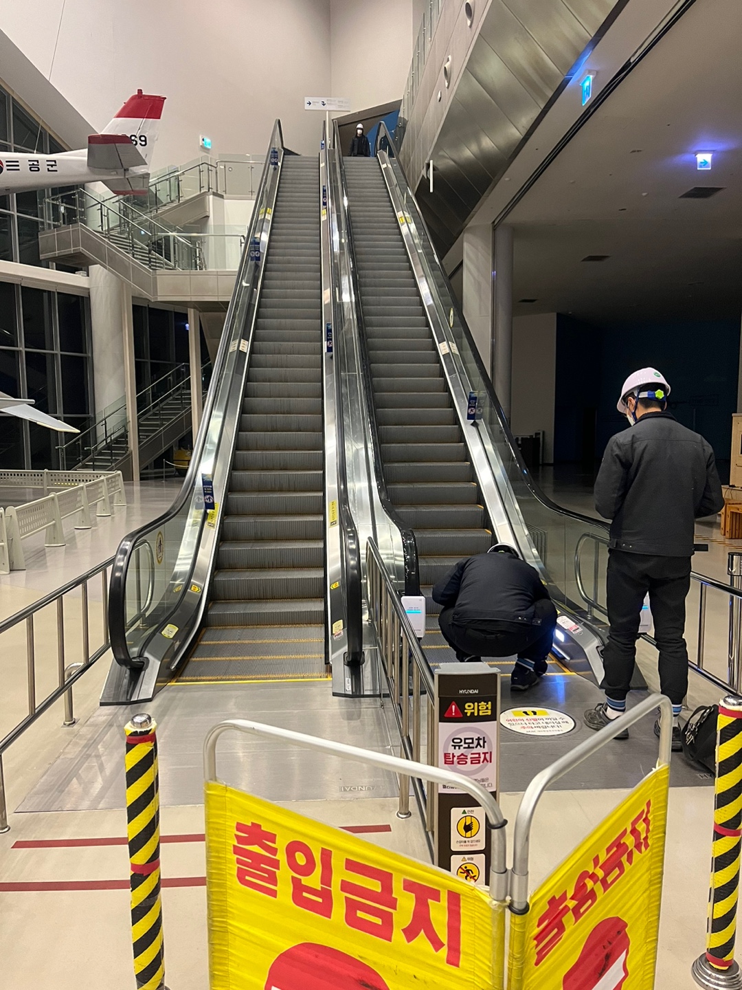 유디