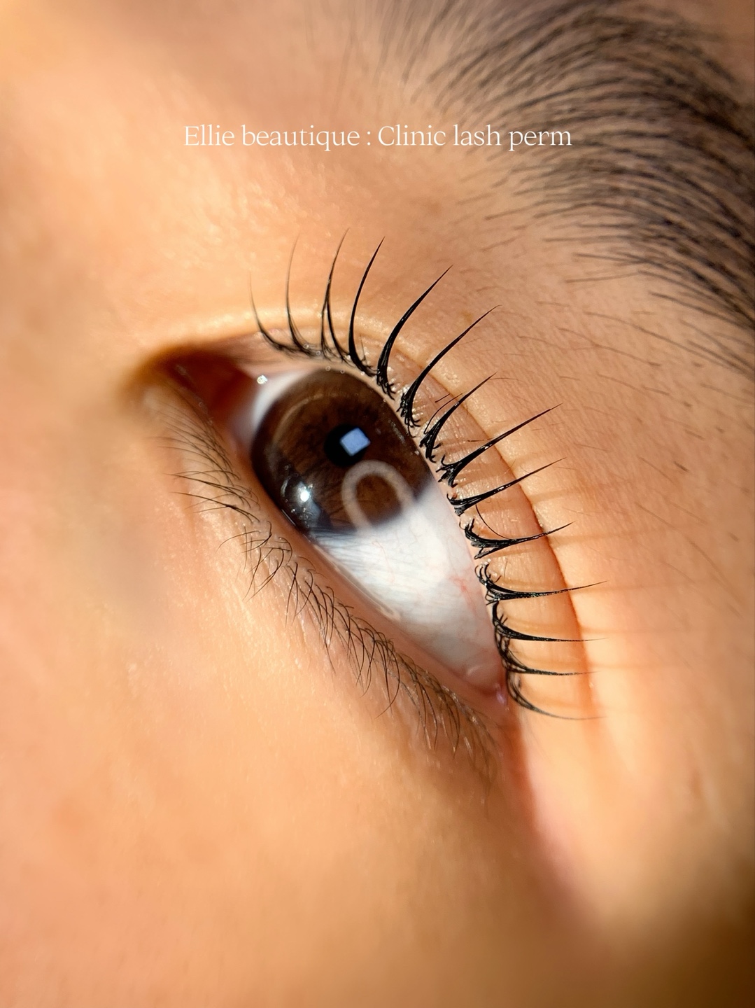 엘리뷰티크 대표 이미지