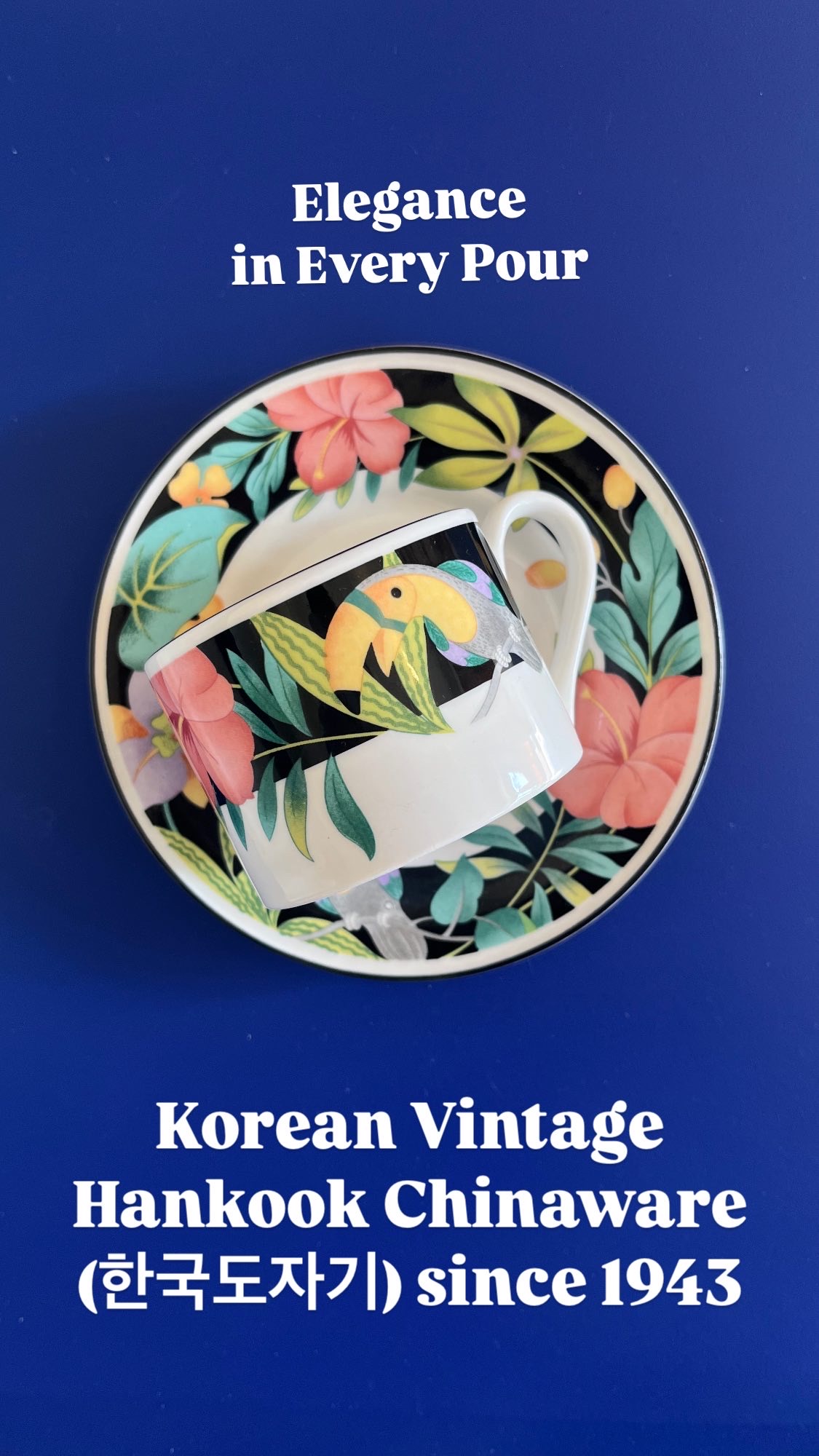 뵈로나에서 대표 이미지