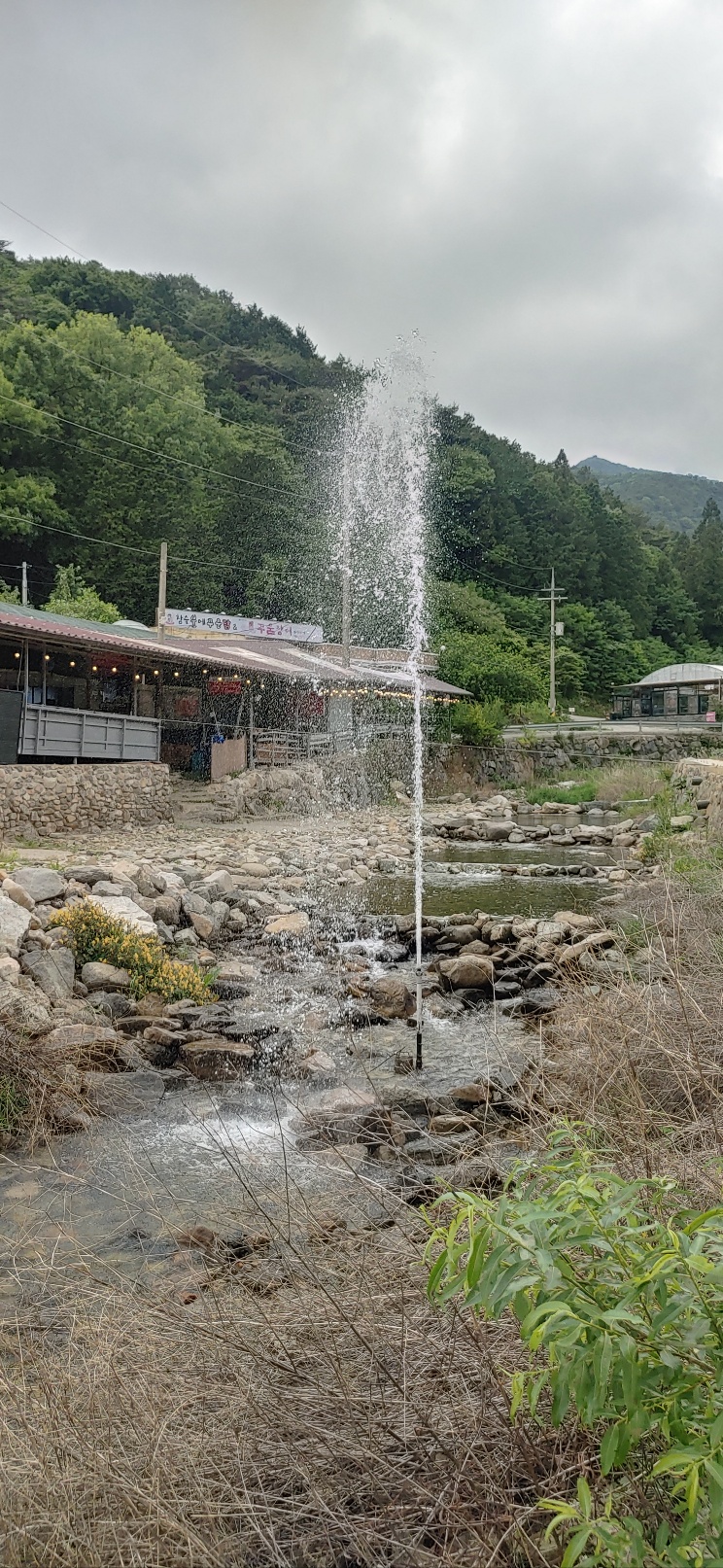 참숯불에꾸운닭앤꿈장어